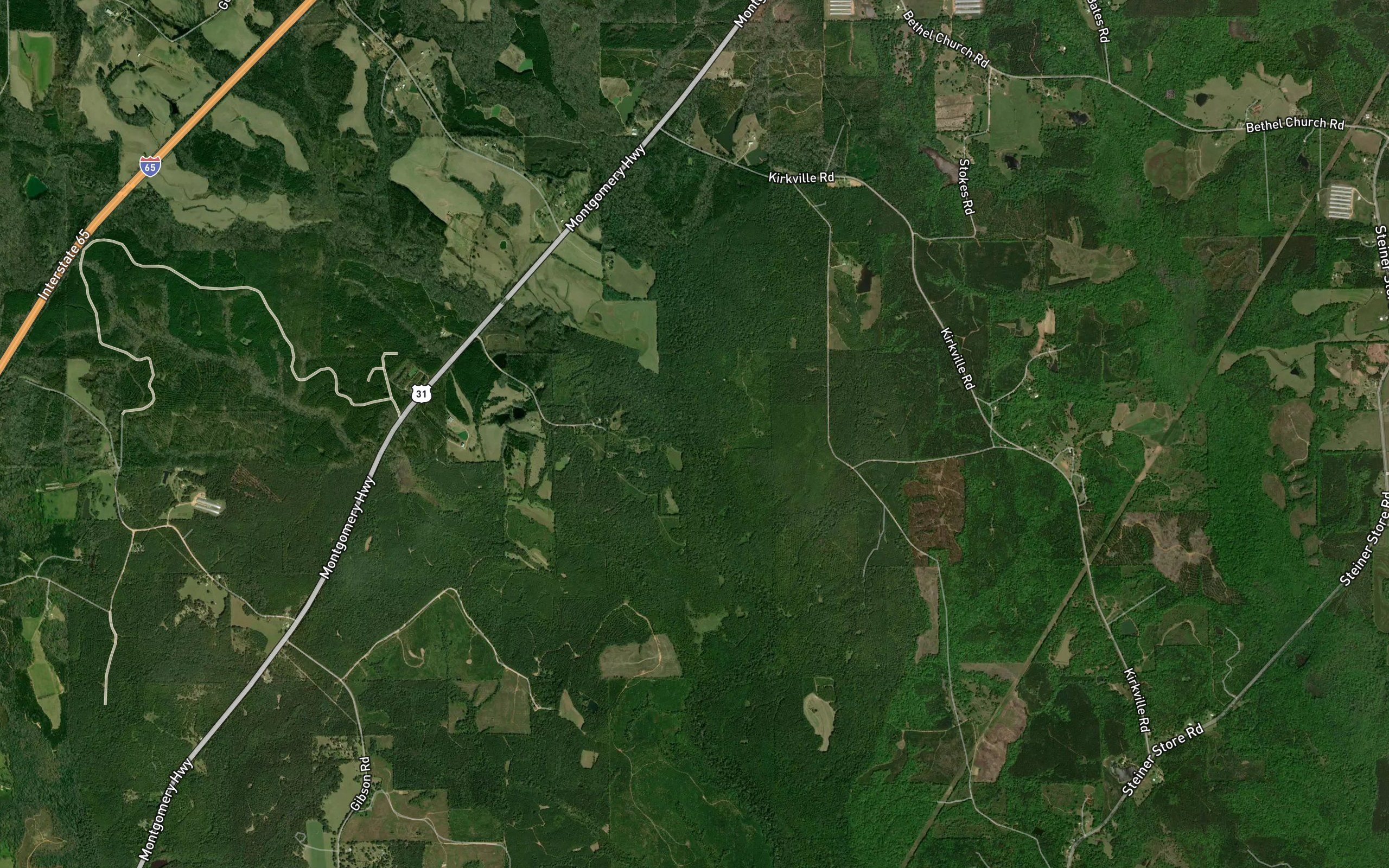 Piney Woods Creek