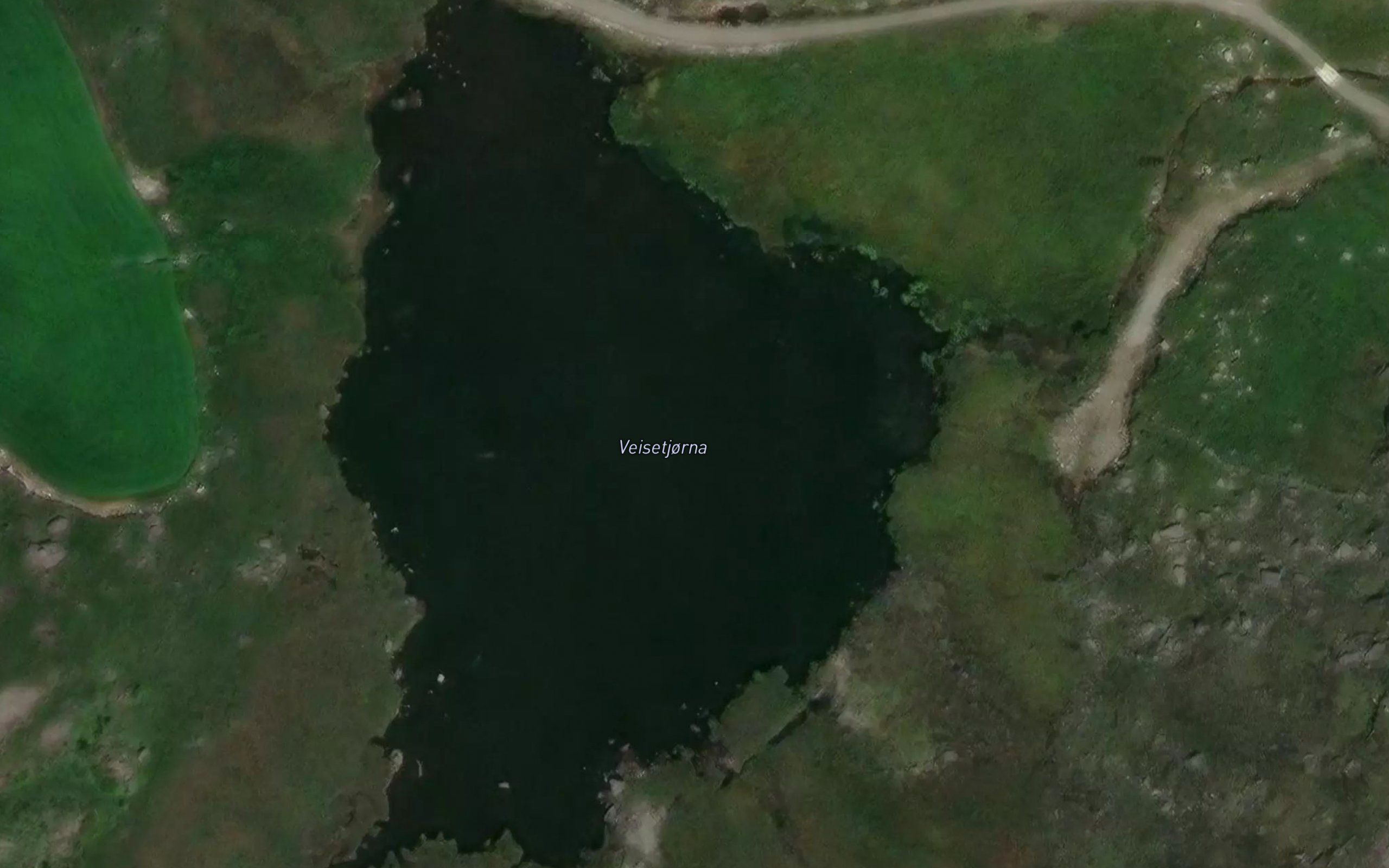 Veisetjorna