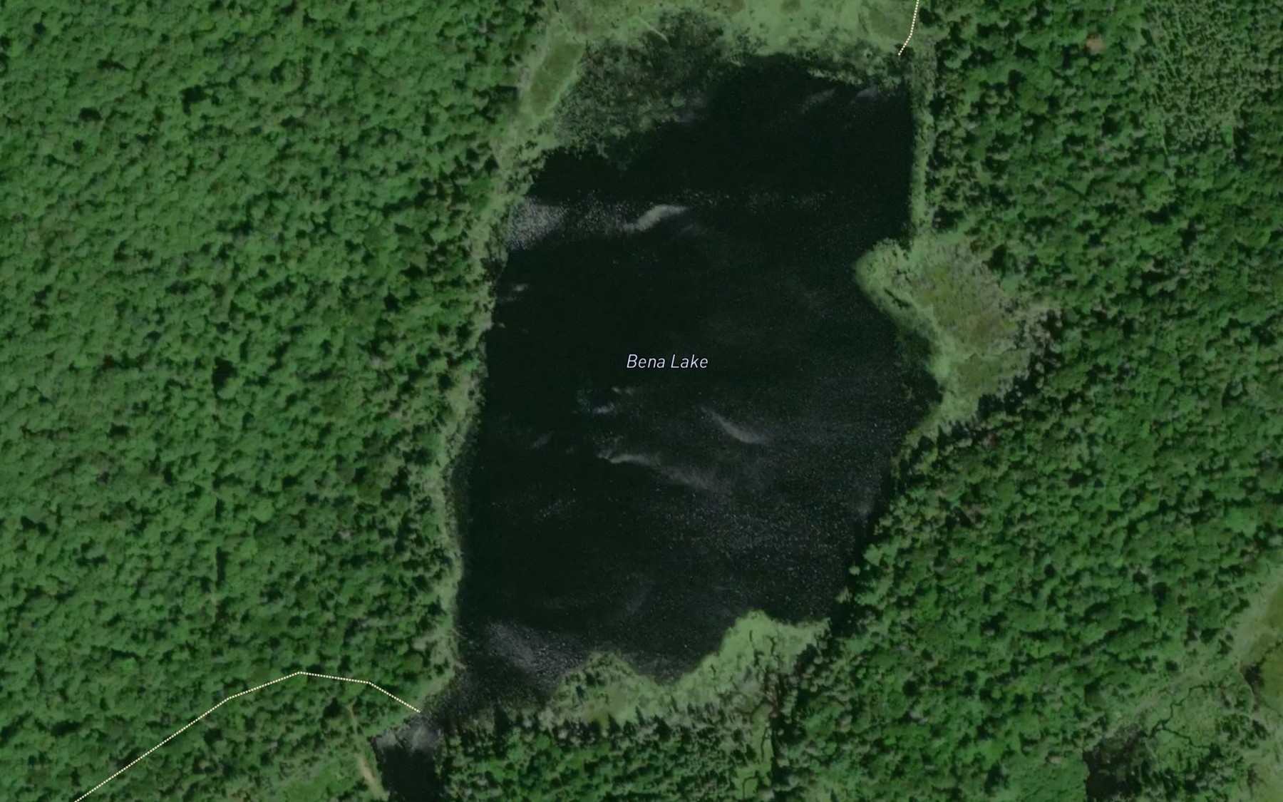 Satellite map of the Bena Lake