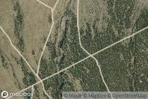 Lower Tonkin Creek Spring