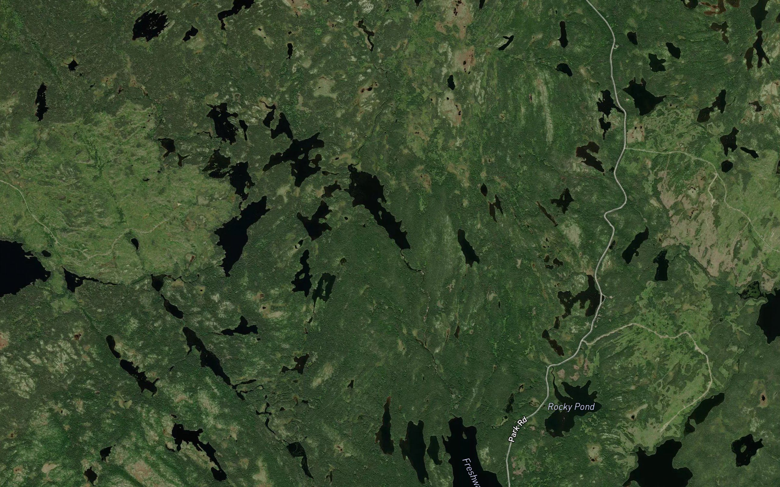 Big Pond