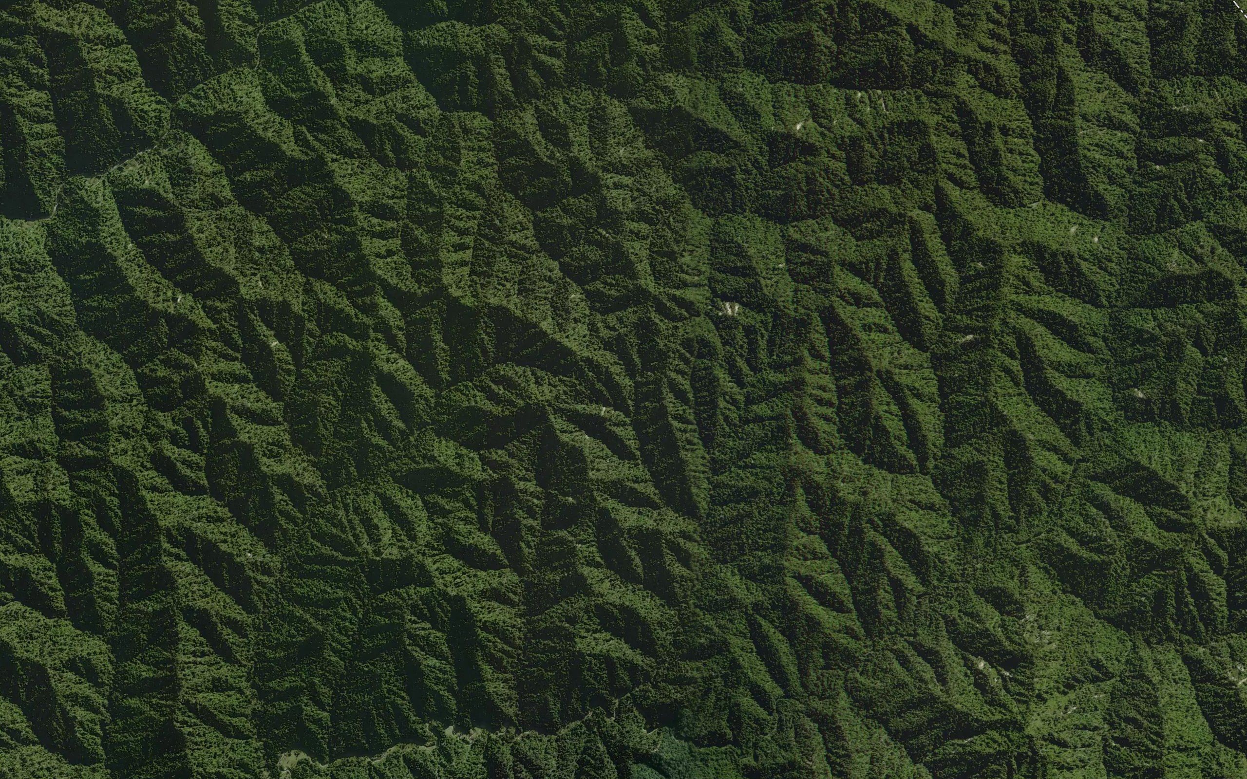 Whakauahi Stream