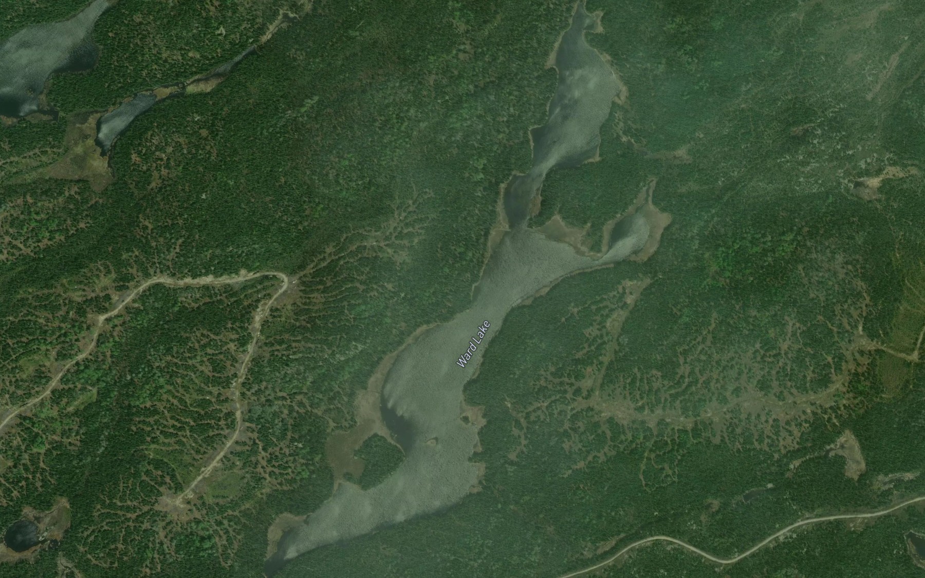 Satellite map of the Ward Lake