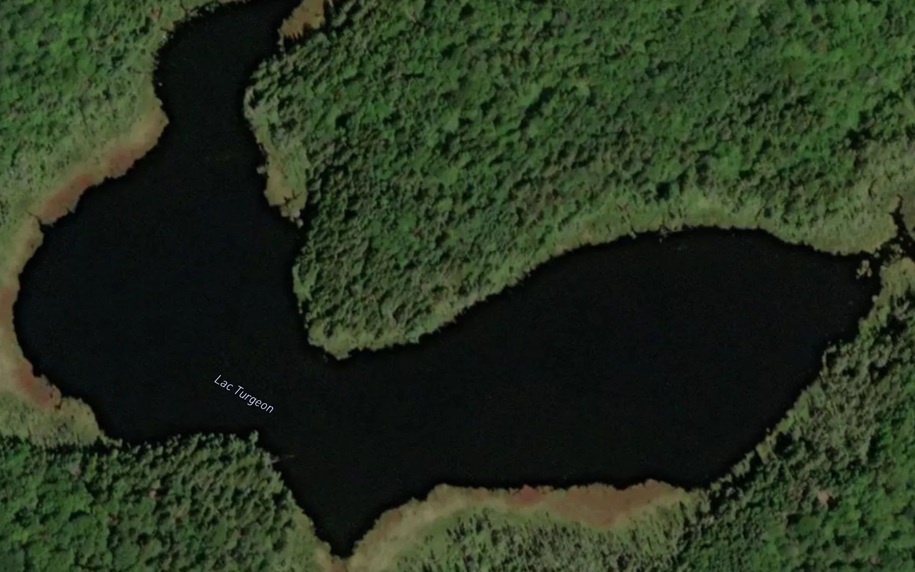 Satellite map of the Lac Turgeon