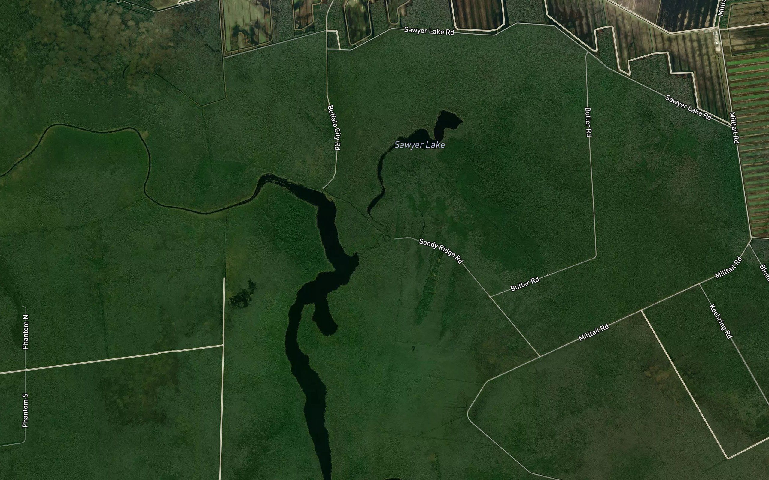 Sandy Ridge Gut