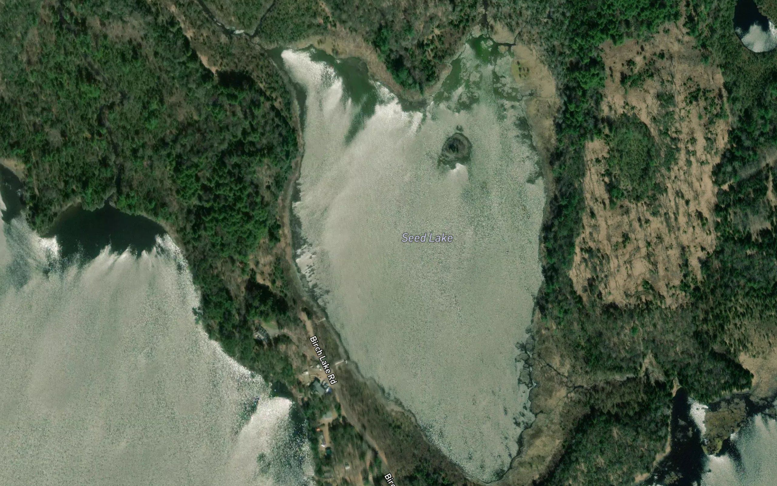 Seed Lake