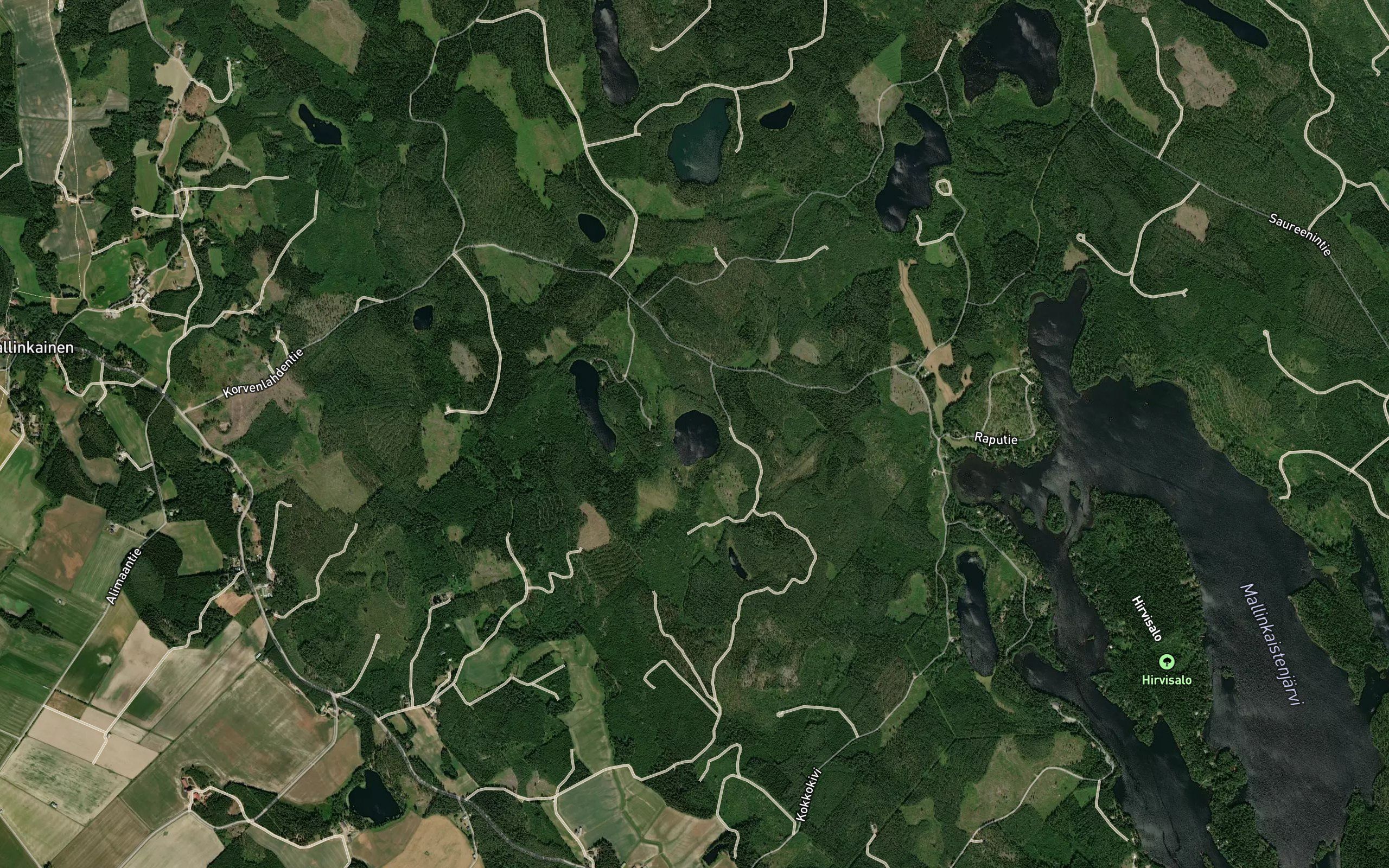 Harjunlammi