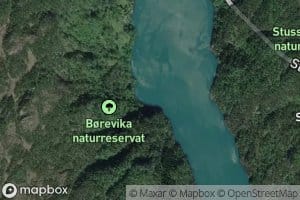 Borevika