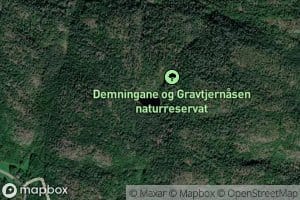 Gravtjern