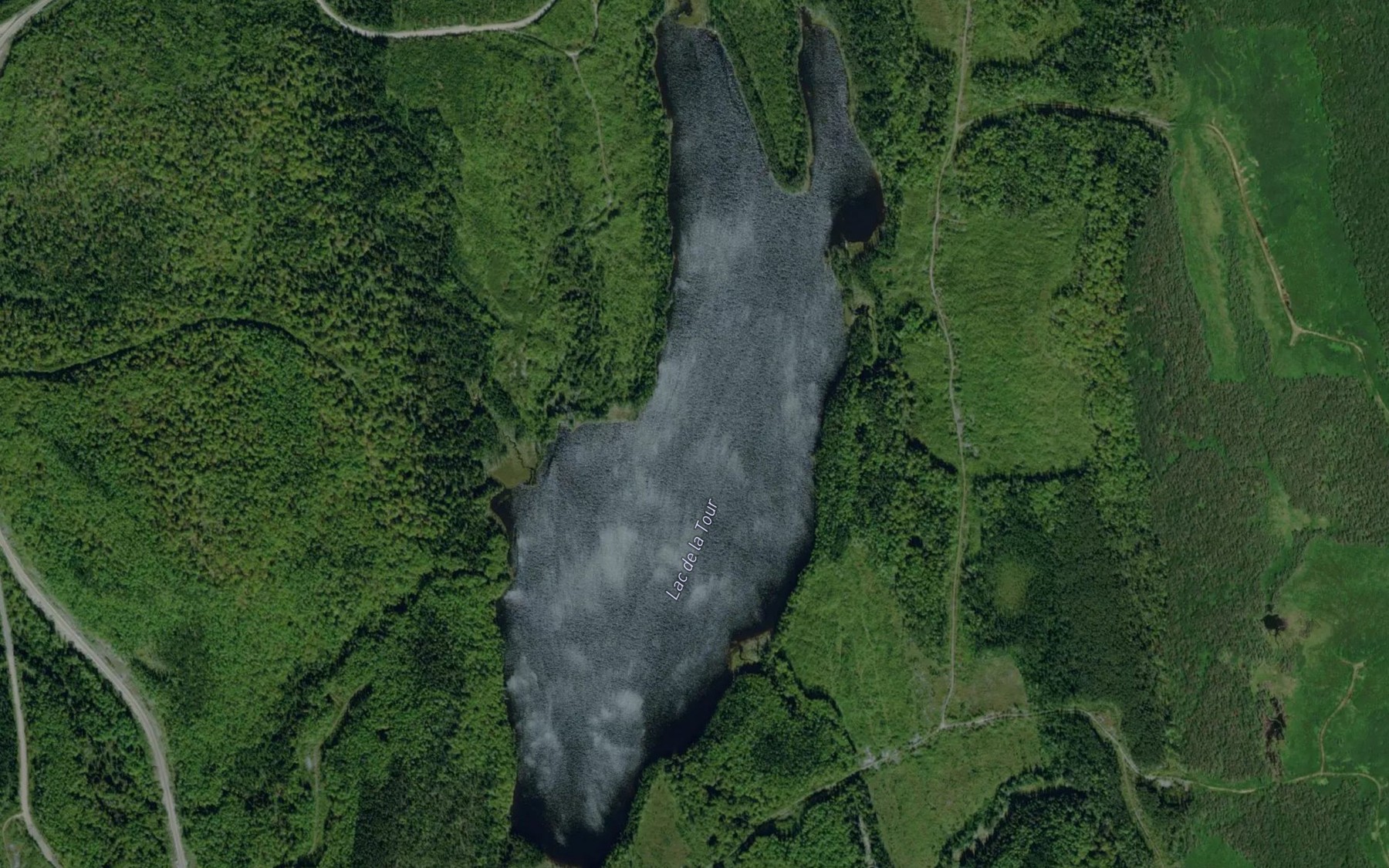 Satellite map of the Lac de la Tour