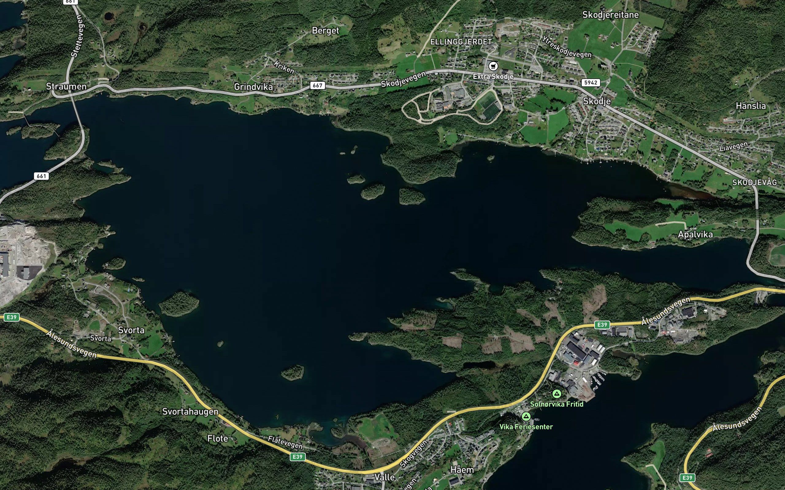 Skodjevika