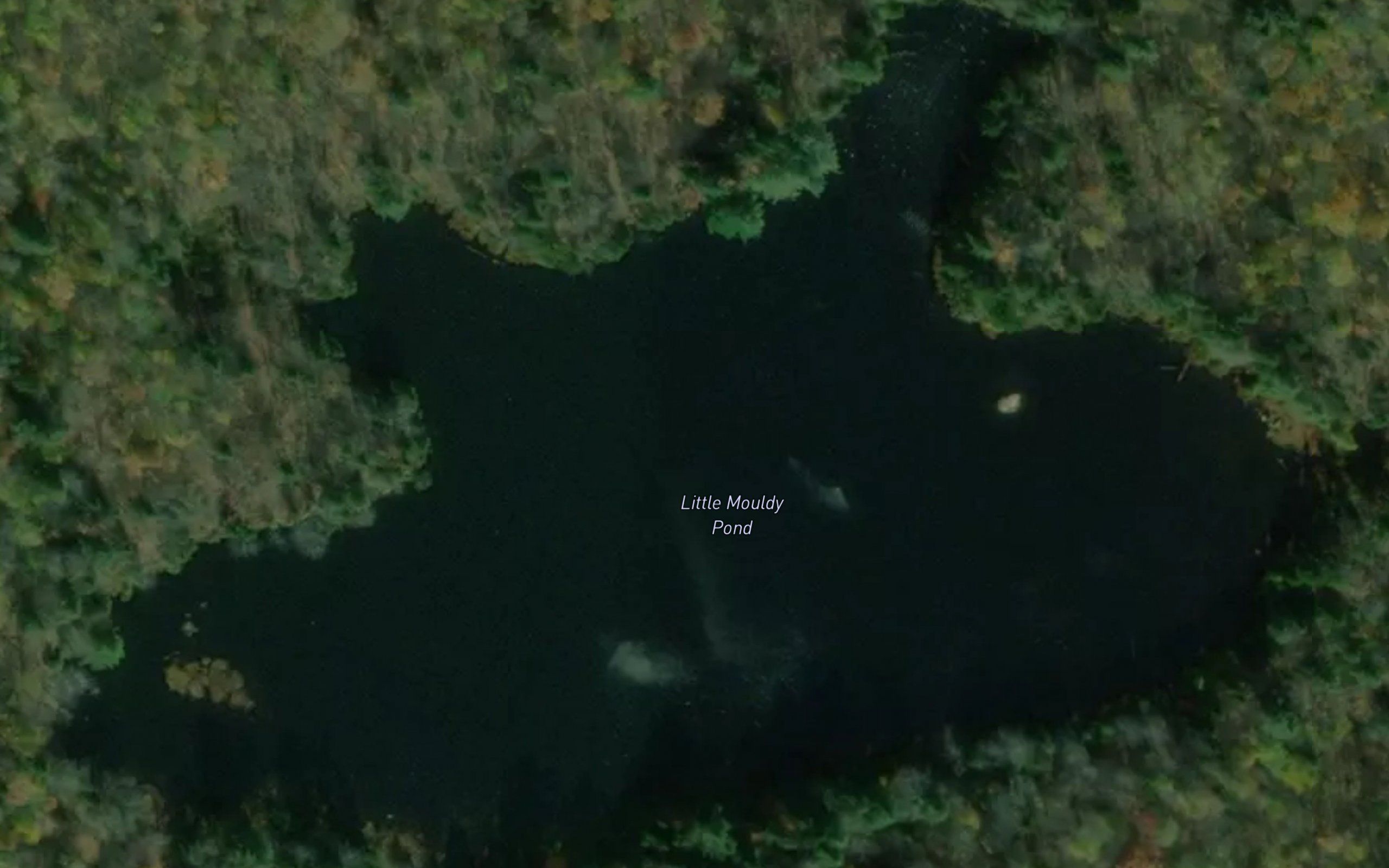 Little Mouldy Pond