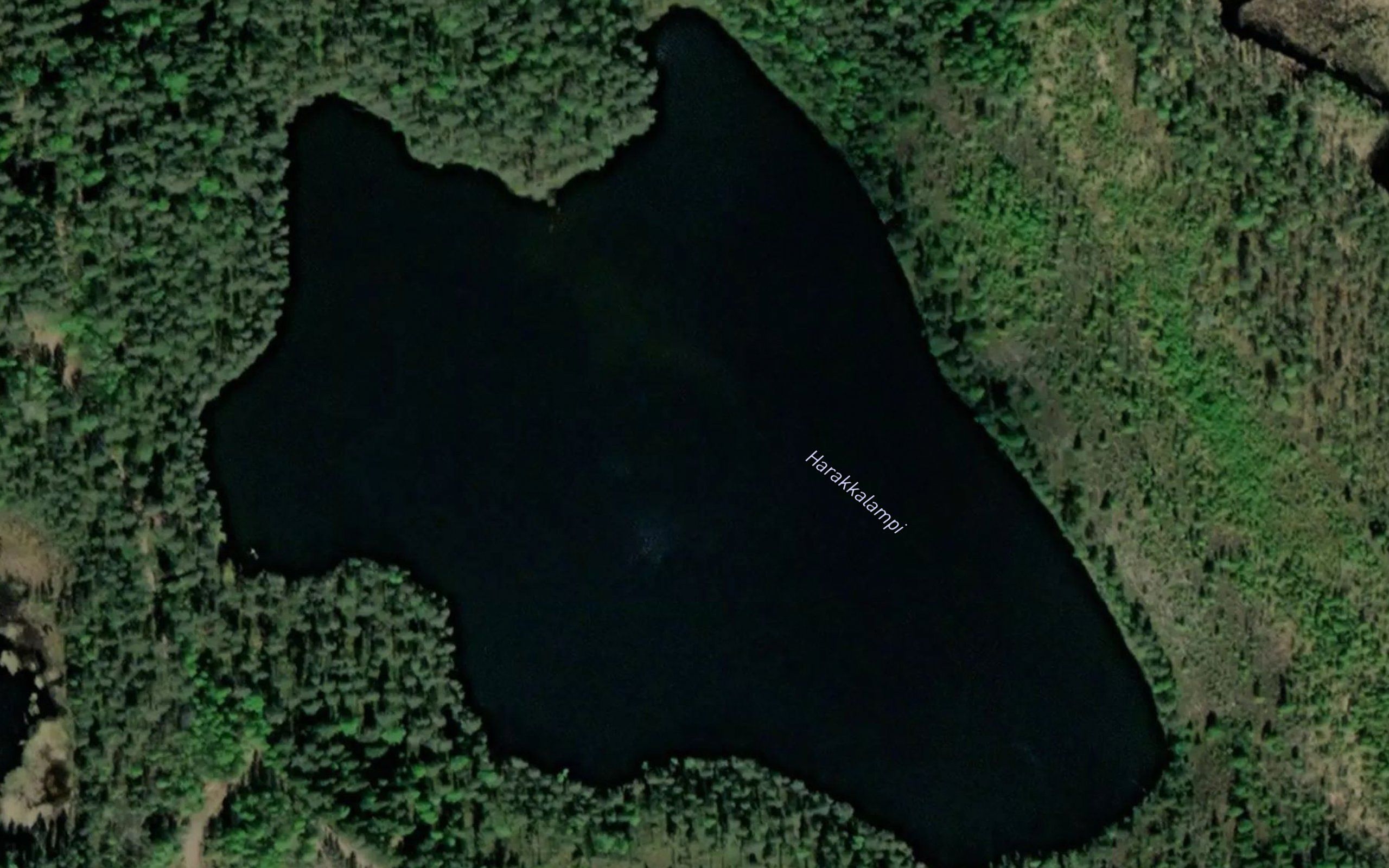 Harakkalampi