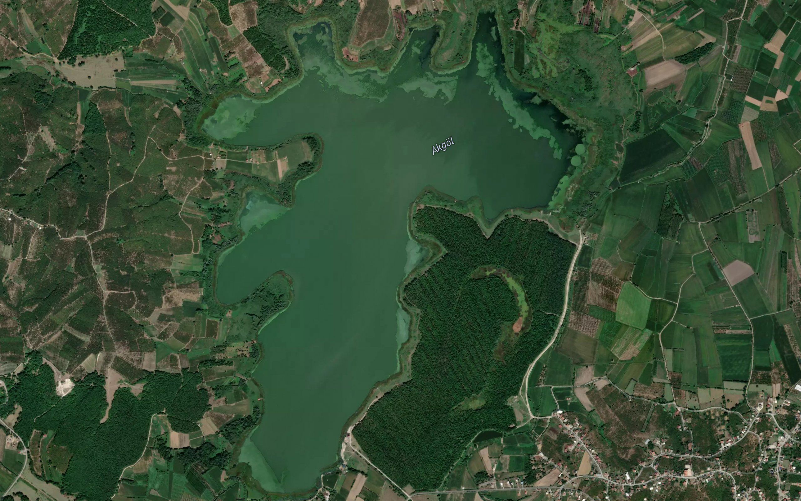 Akgol