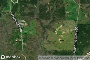 Clear Running Branch