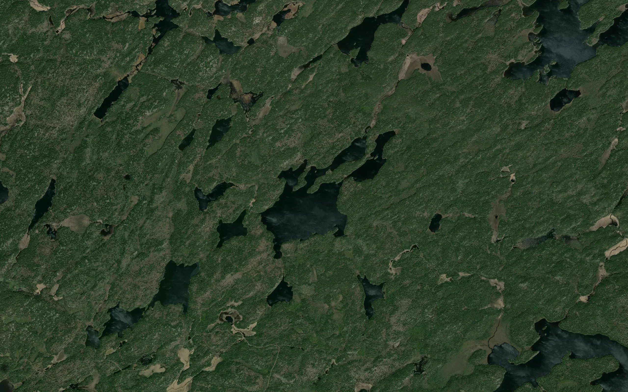 Easter Chicken Lake