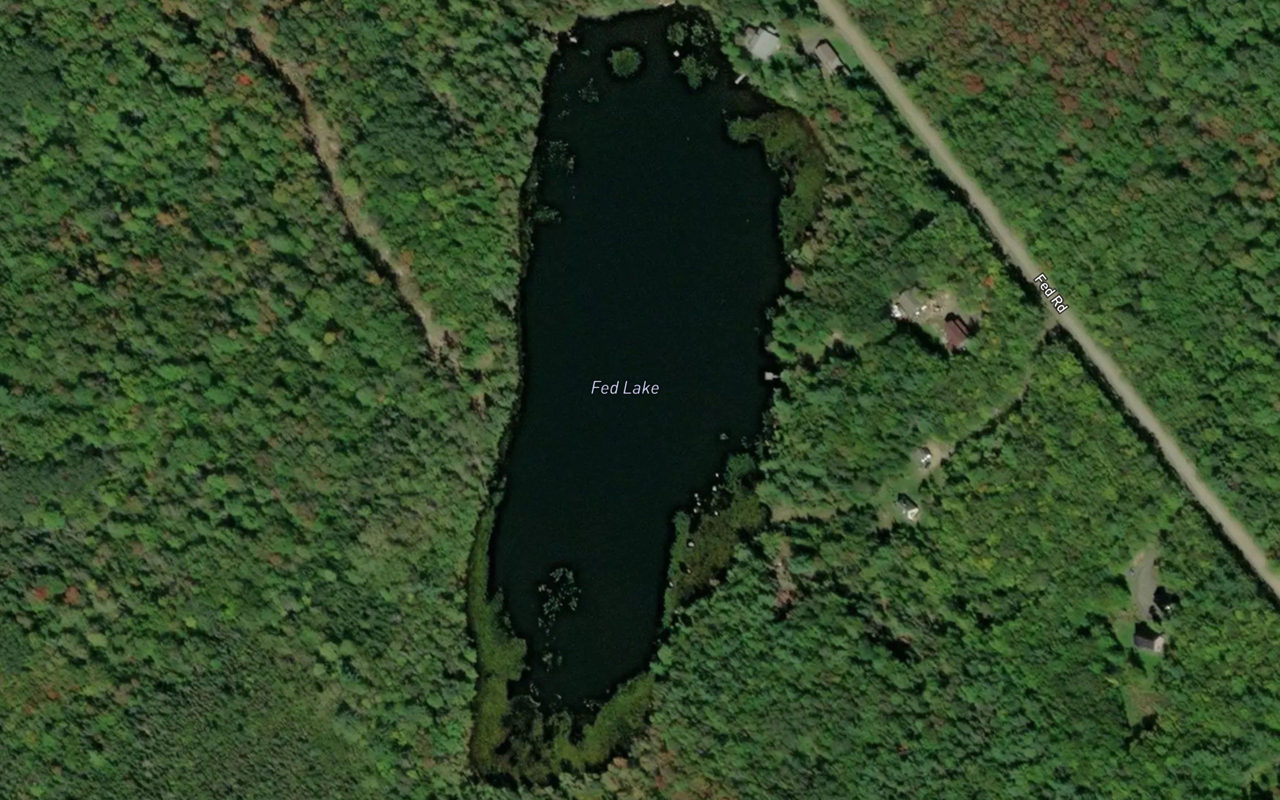 Fed Lake
