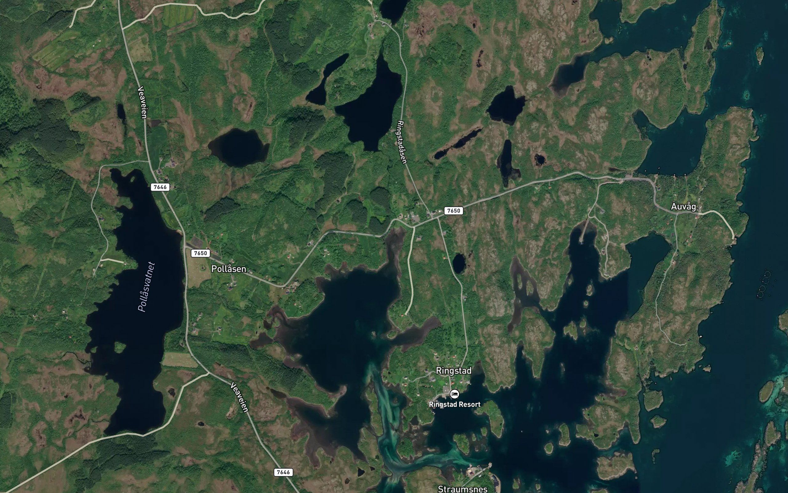 Elvbukta