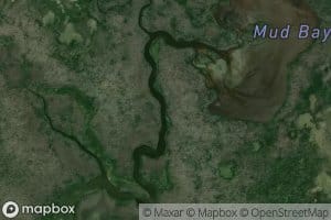 Royal Palm Hammock Creek