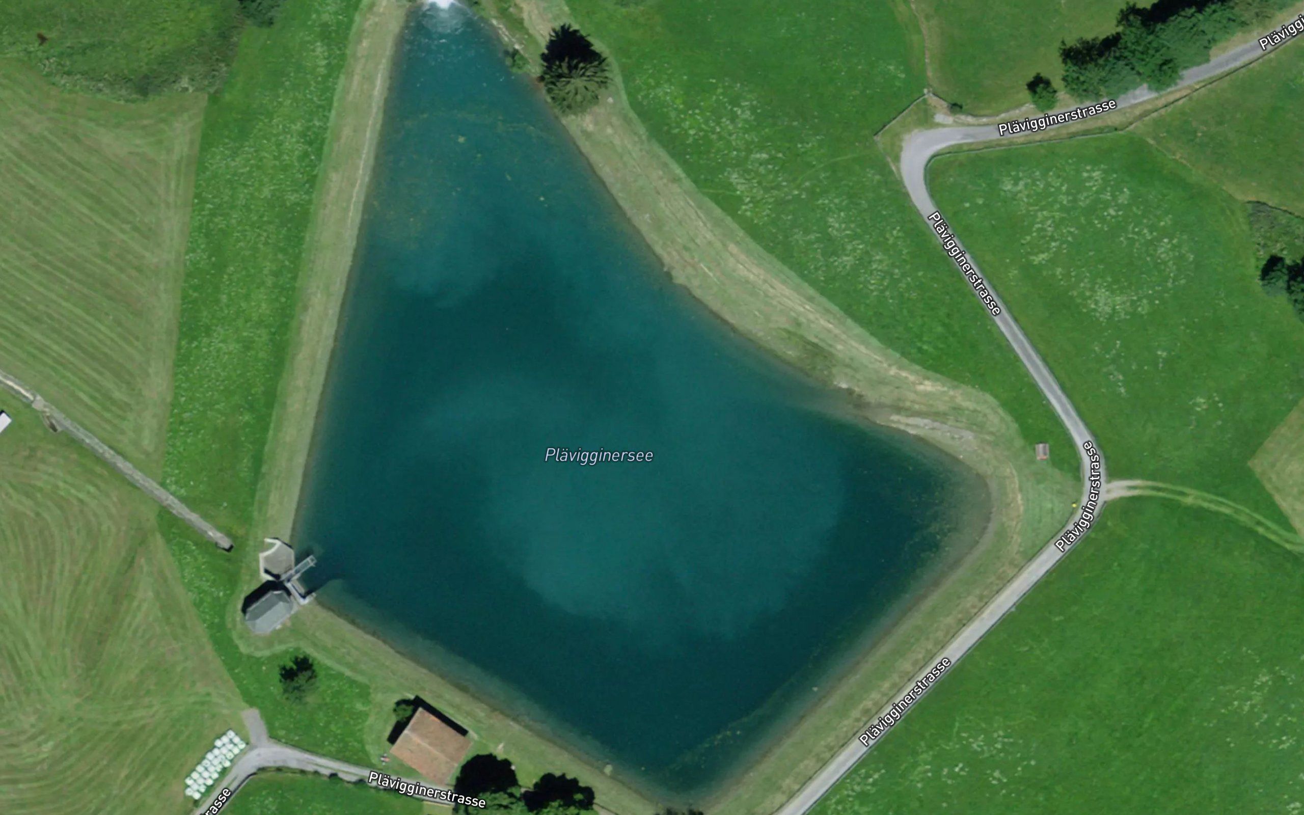 Plaevigginersee
