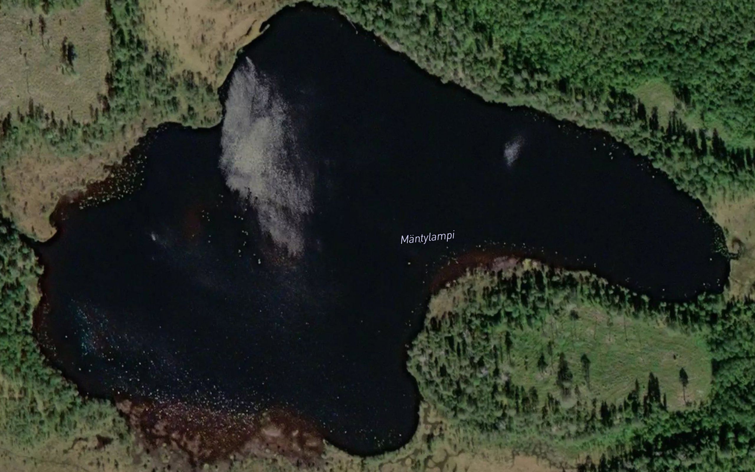Mantylampi
