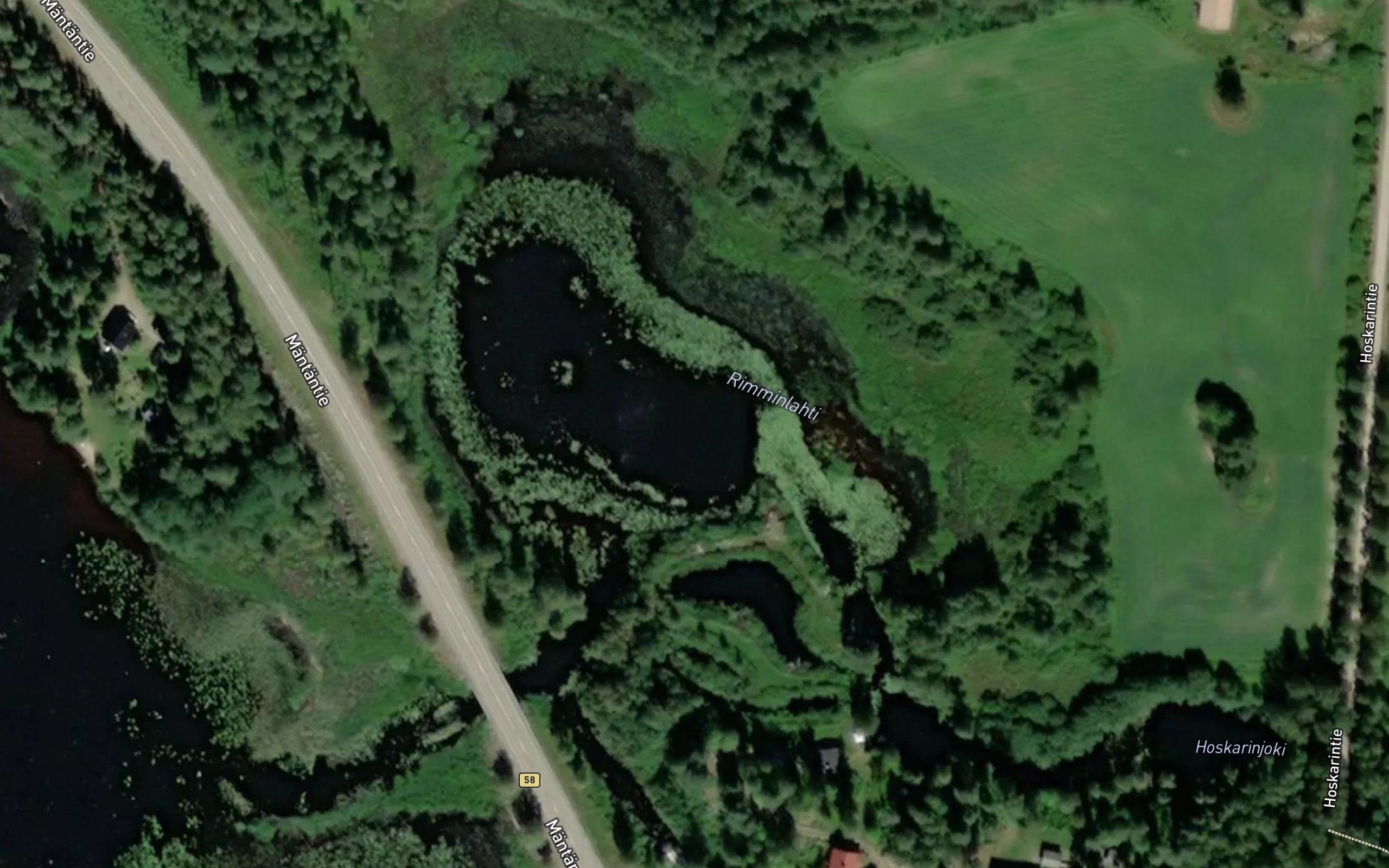 Rimminlahti