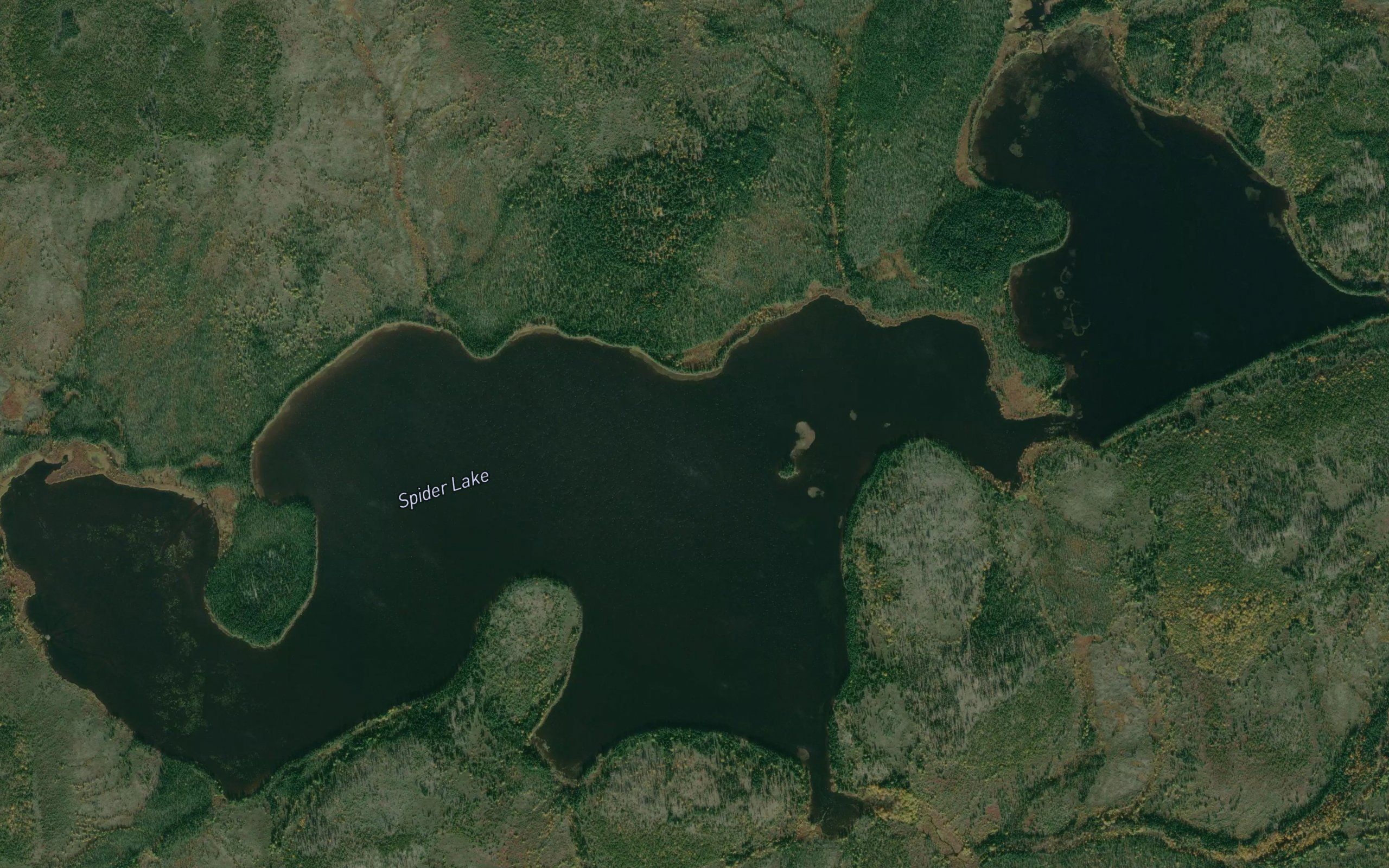 Spider Lake