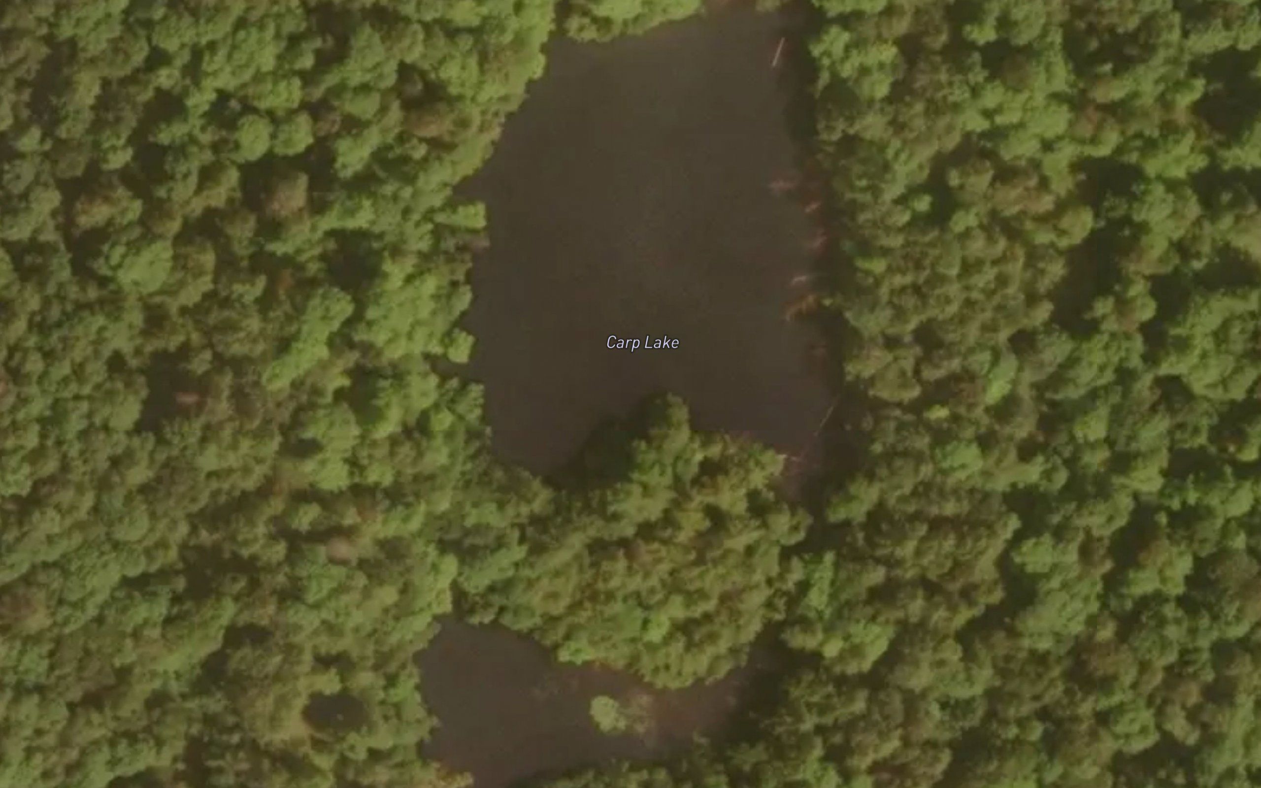 Carp Lake