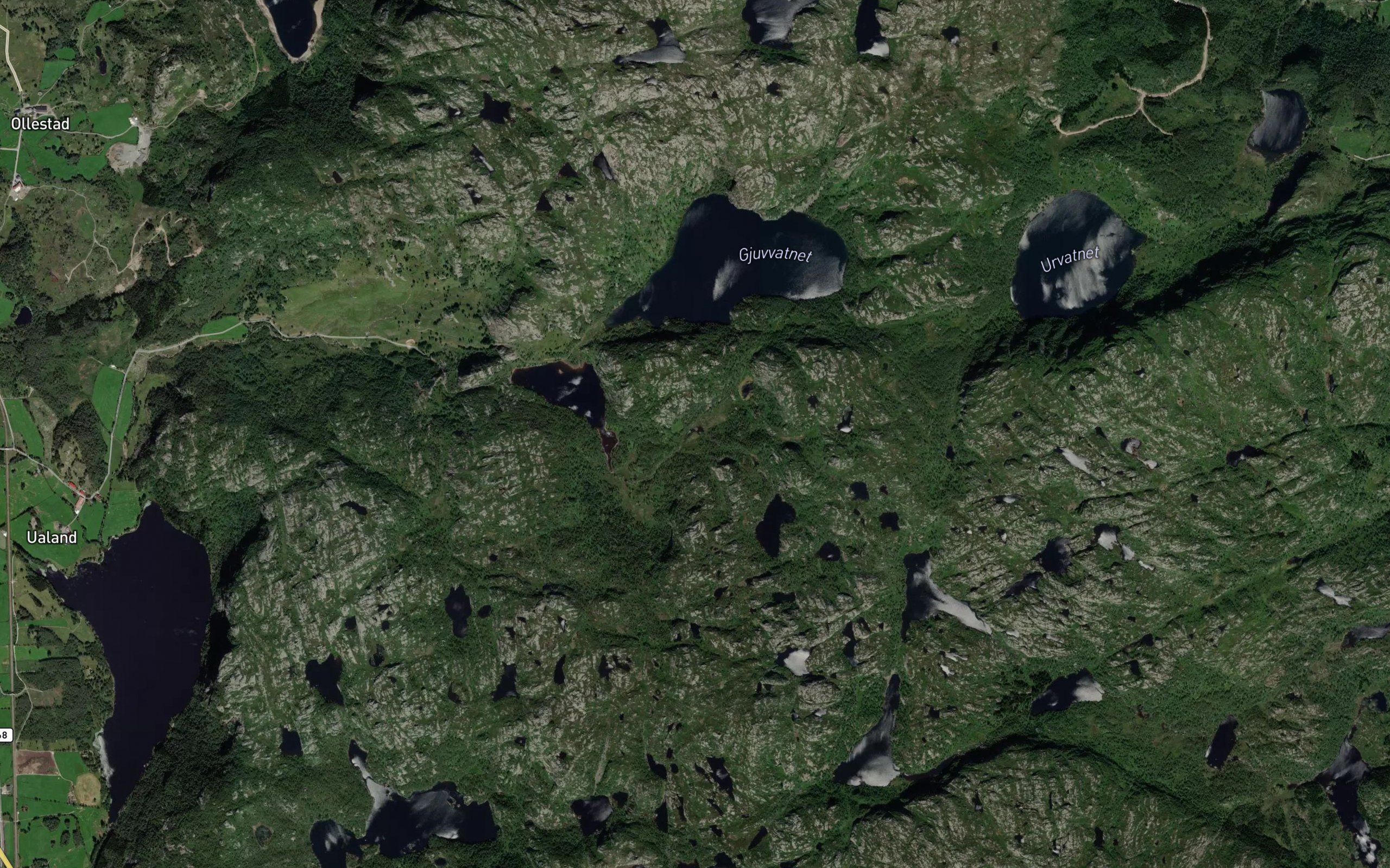 Bratjorni