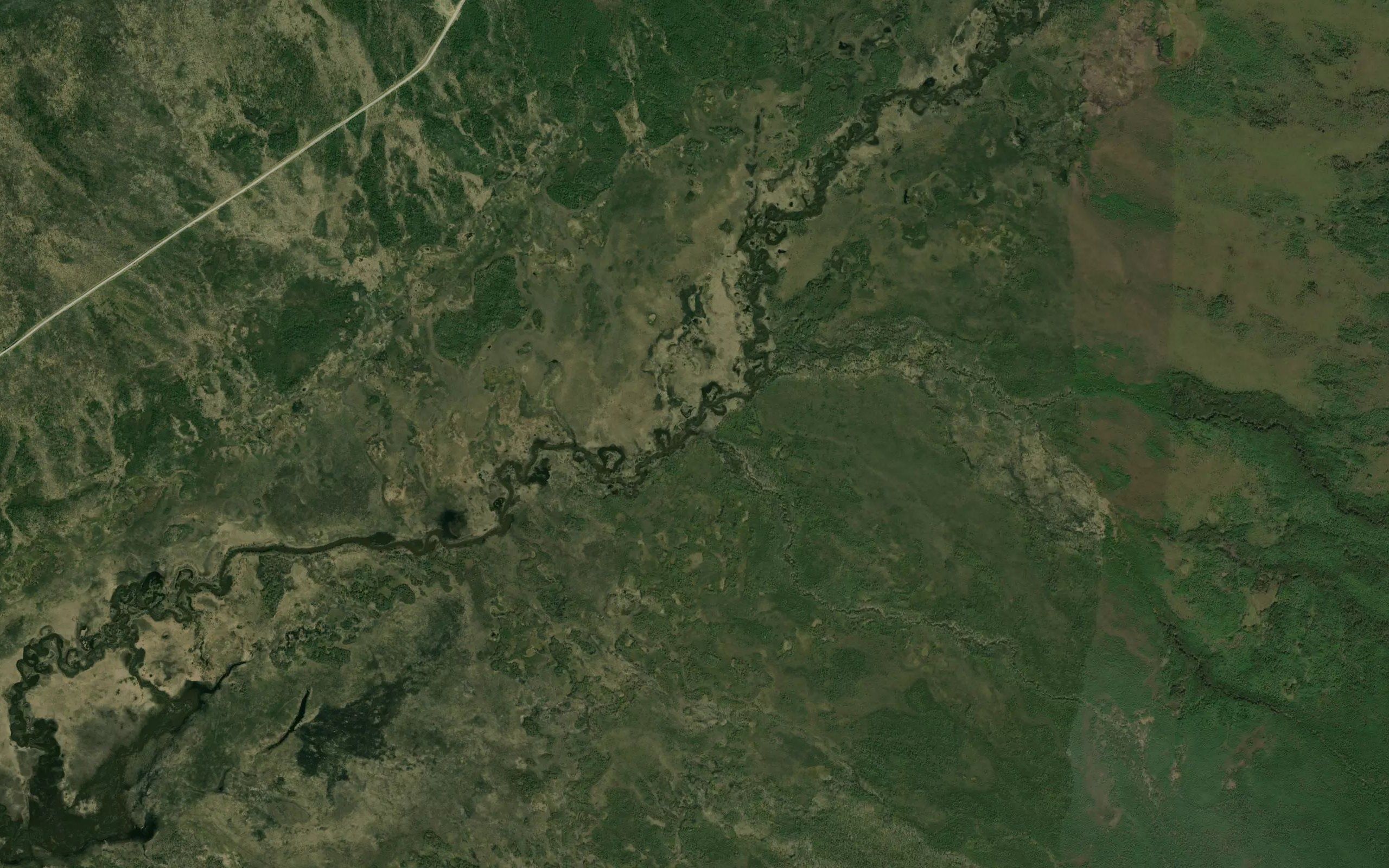 Kustarnikovyy