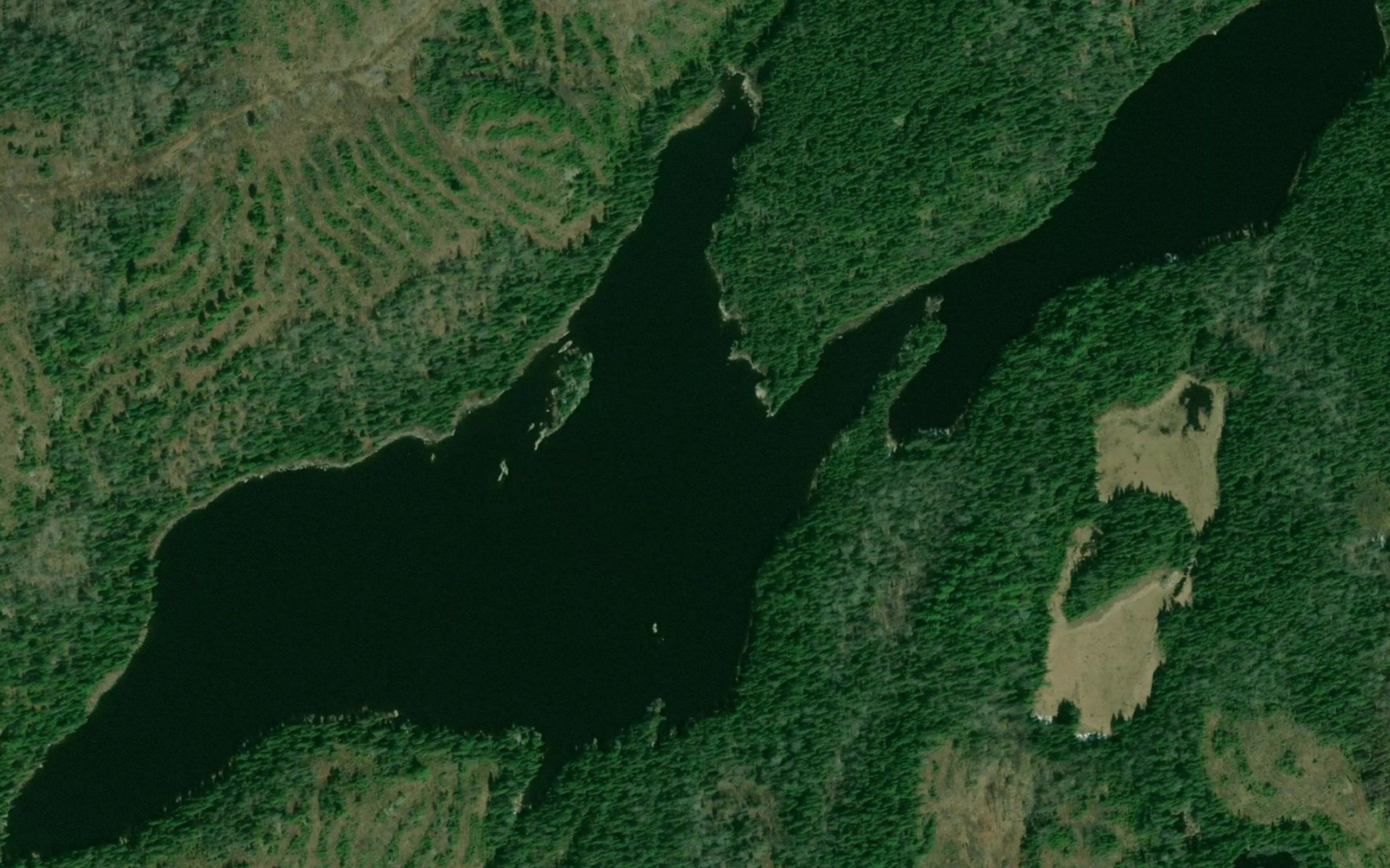 Lac des Bouleaux Blancs