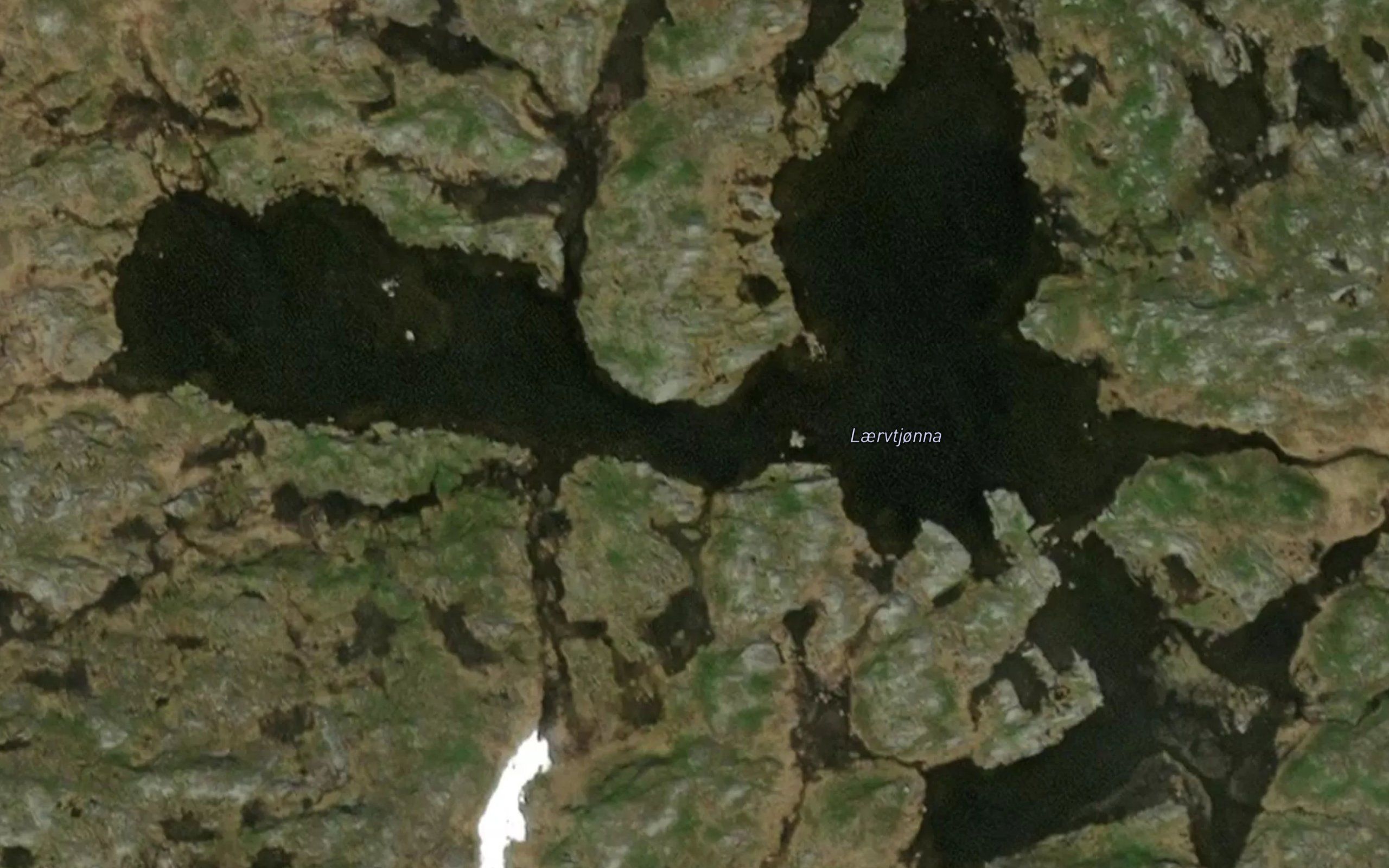 Laervtjonna