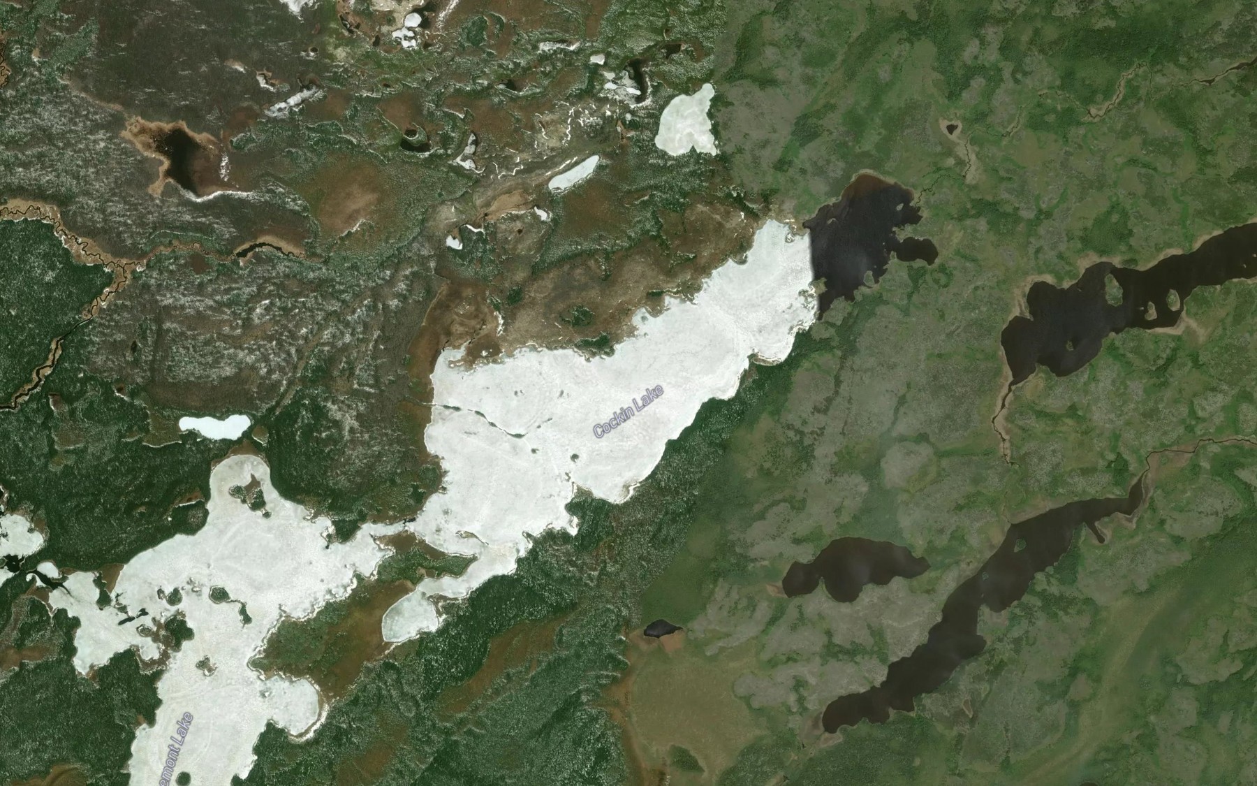Satellite map of the Cockin Lake