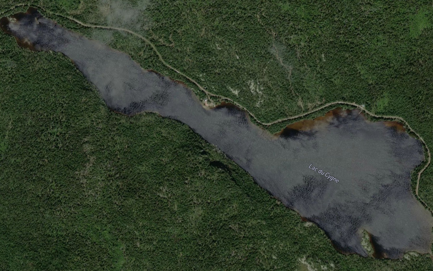 Satellite map of the Lac du Cygne