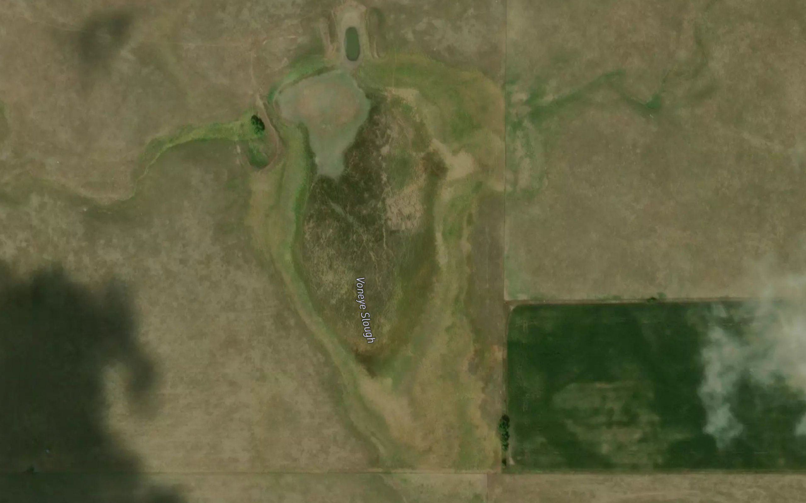 Voneye Slough