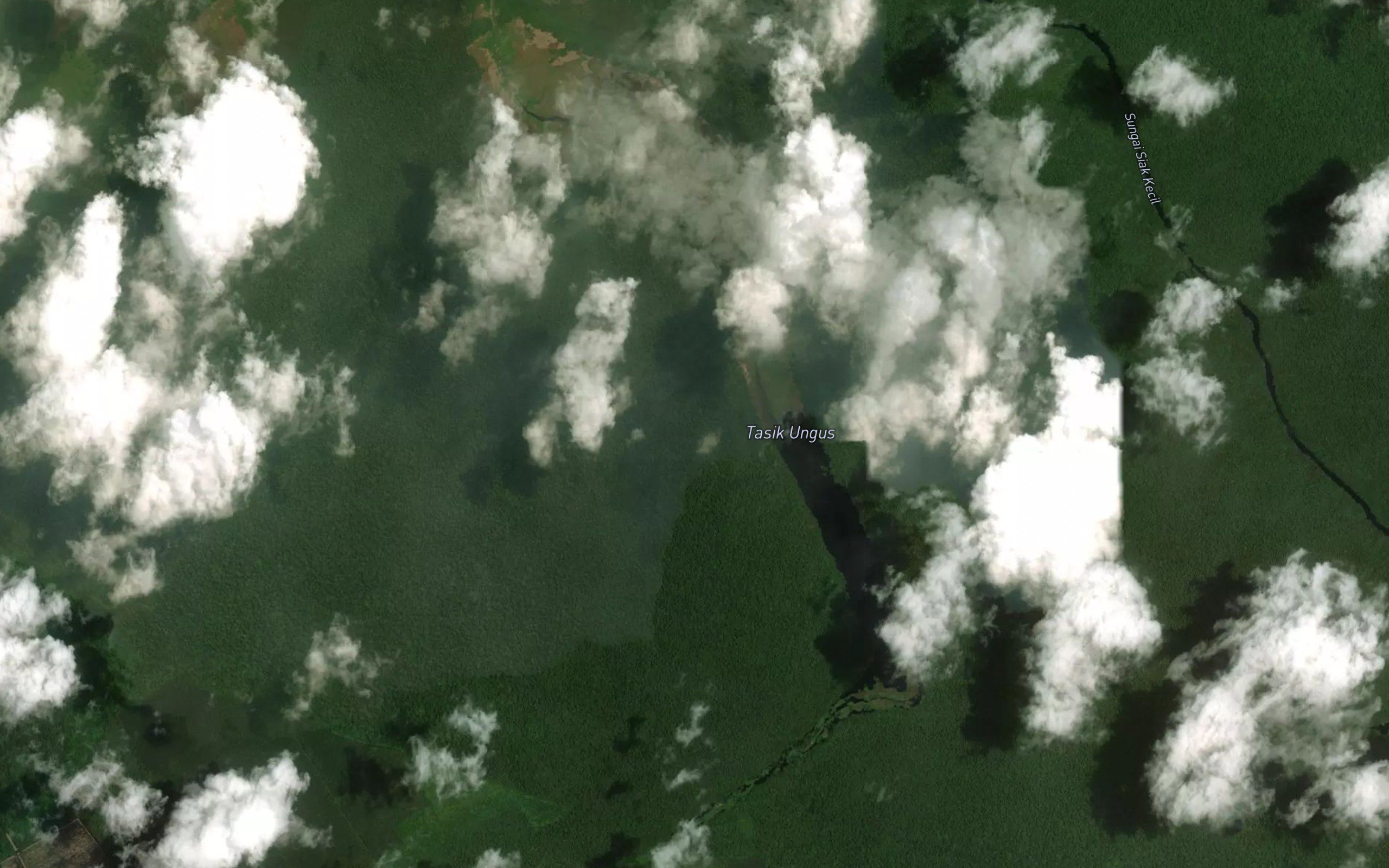 Tasik Ungus