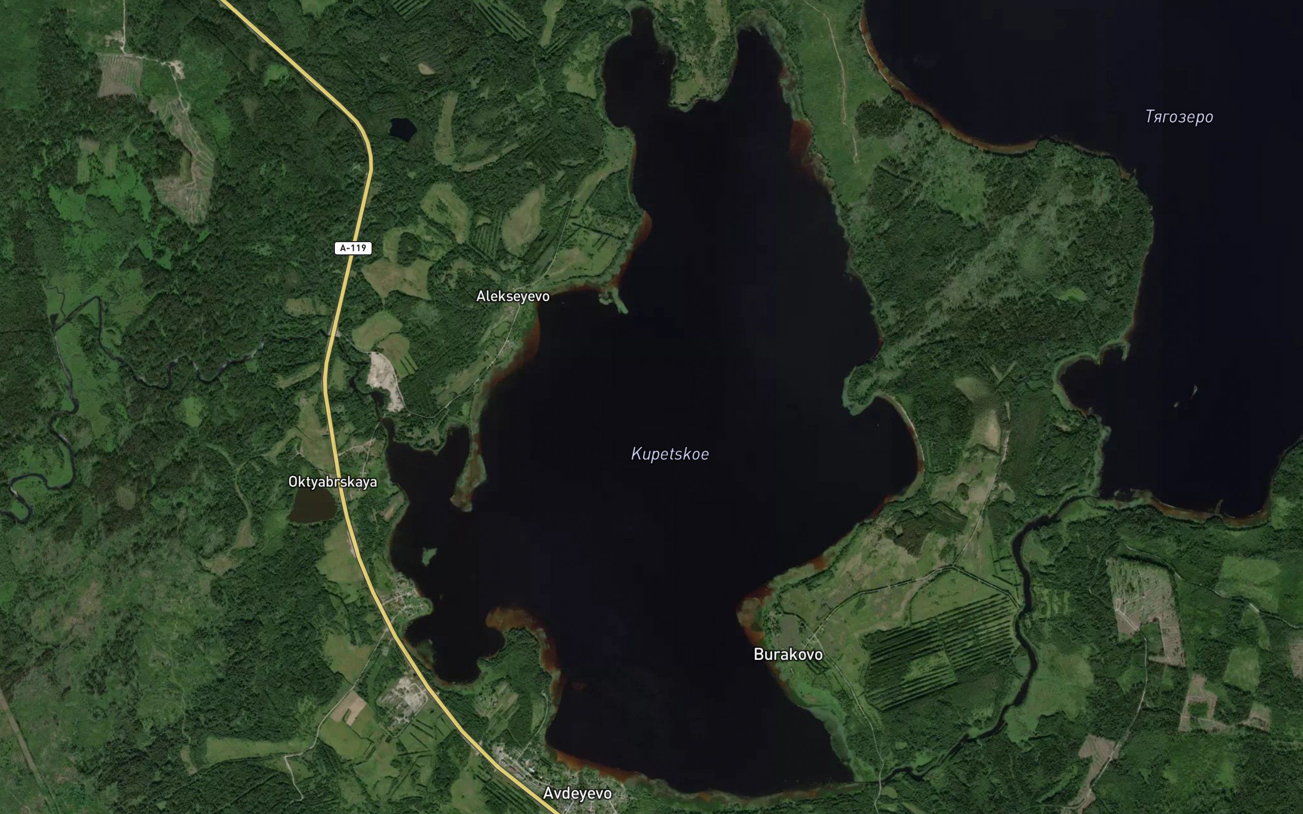 Ozero Kupetskoye