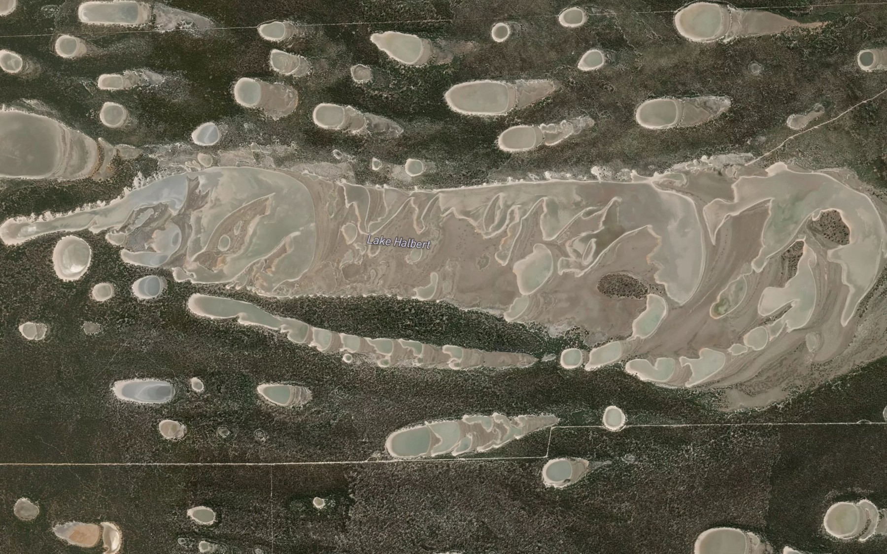 Satellite map of the Lake Halbert