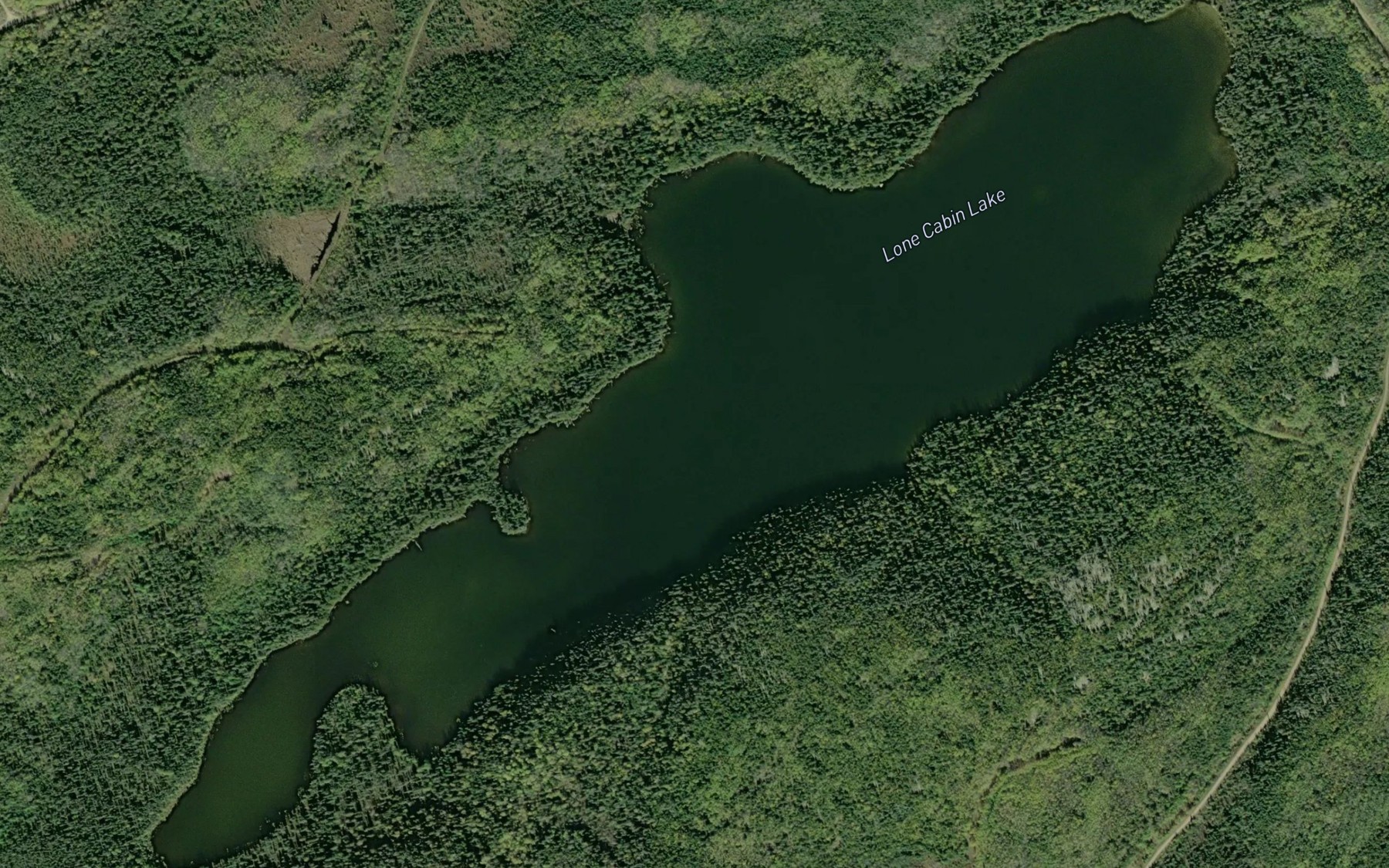 Satellite map of the Lone Cabin Lake