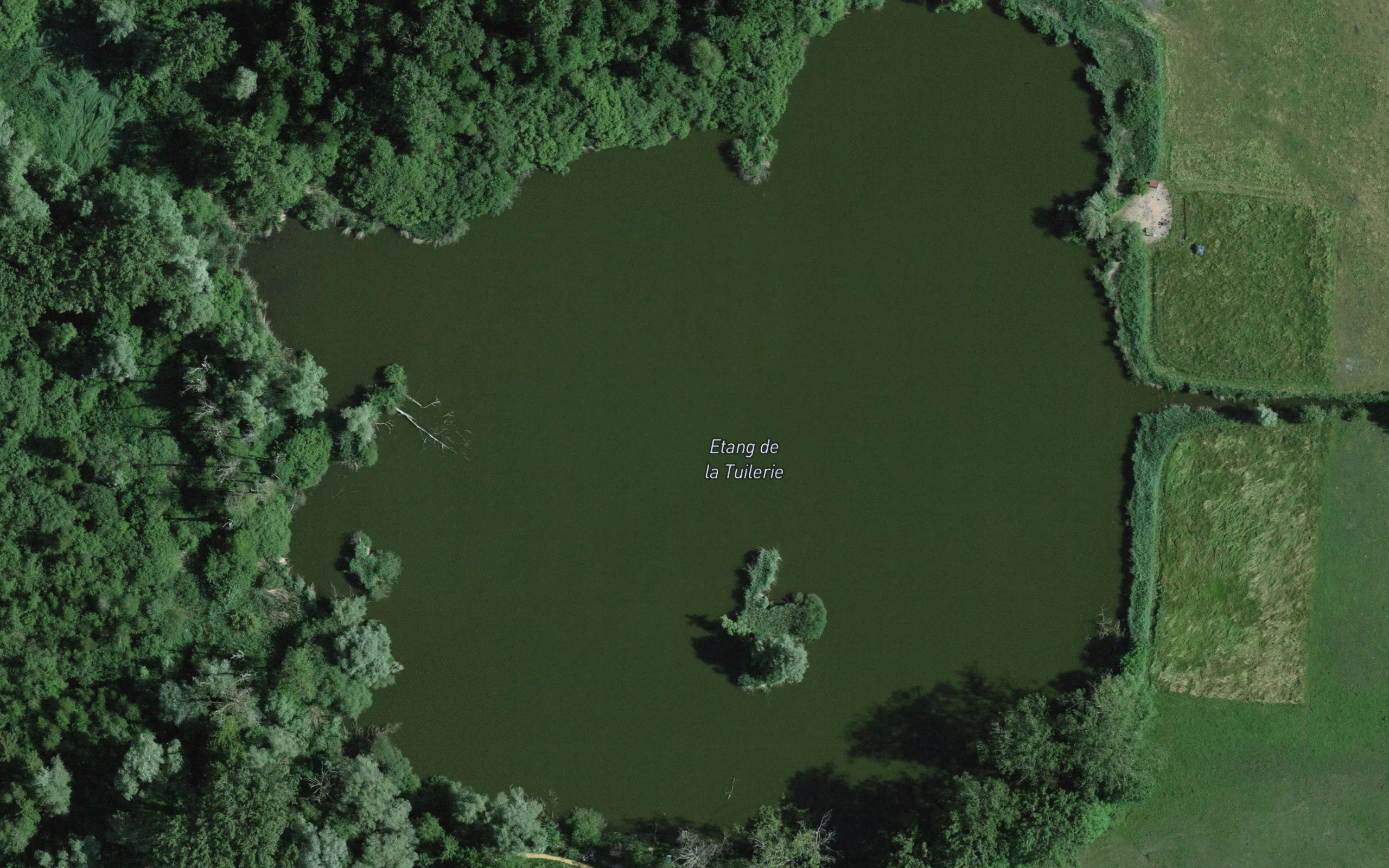 Etang de la Tuilerie