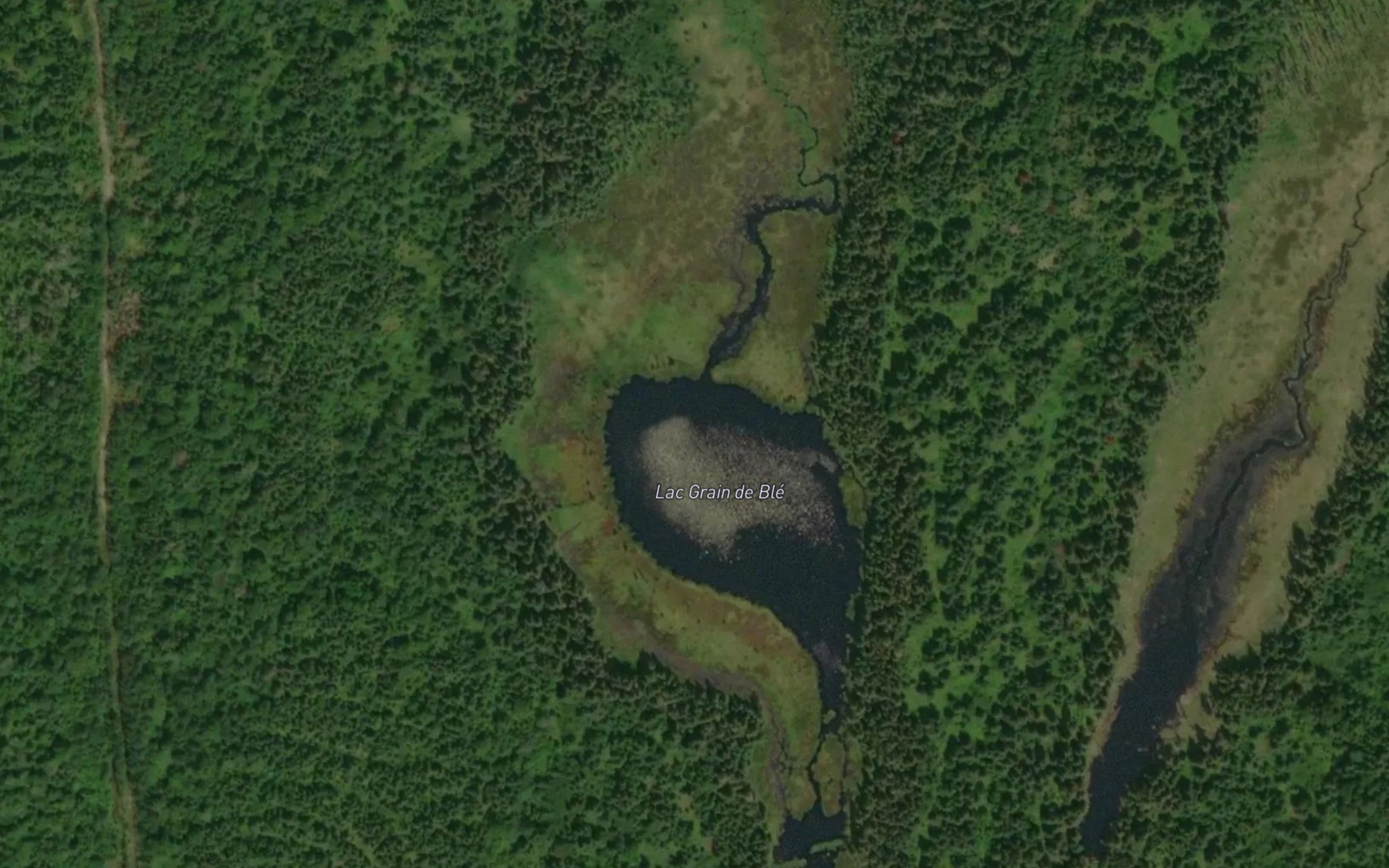 Satellite map of the Lac Grain de Ble