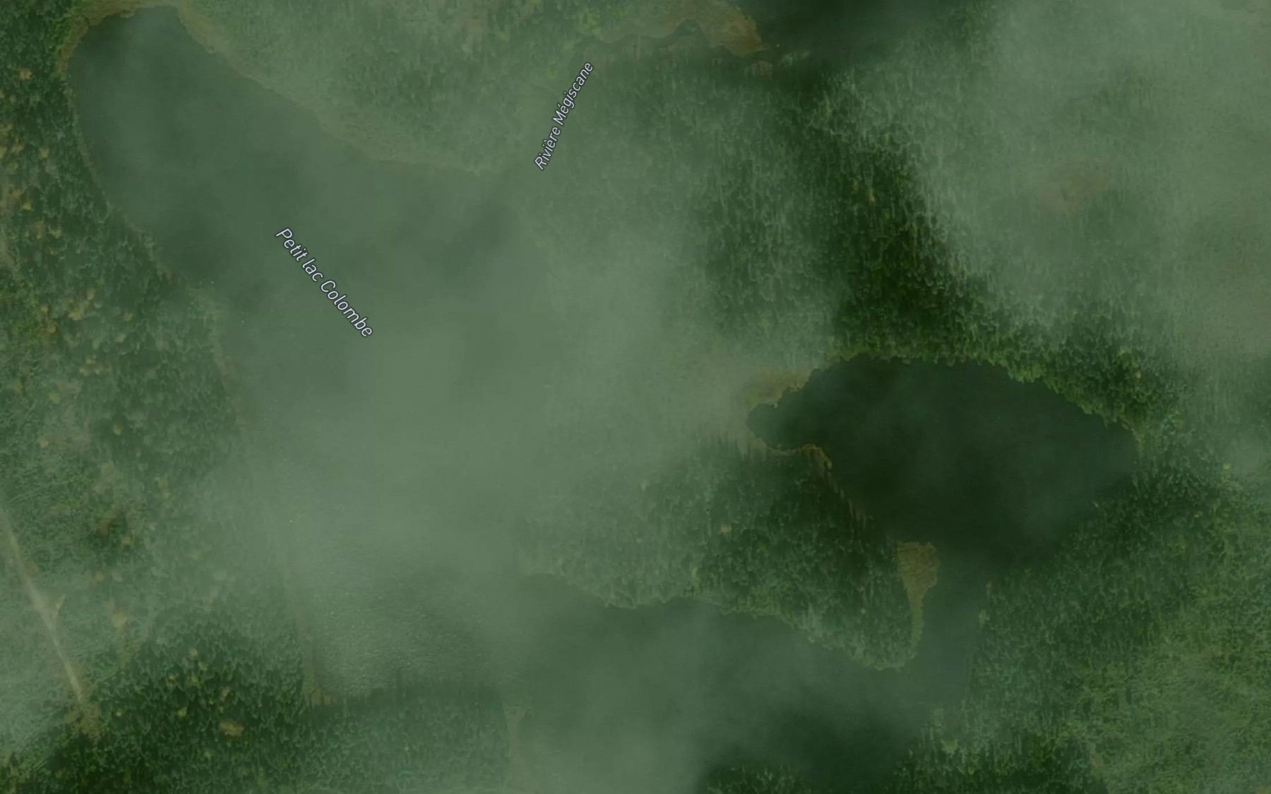 Satellite map of the Petit lac Colombe