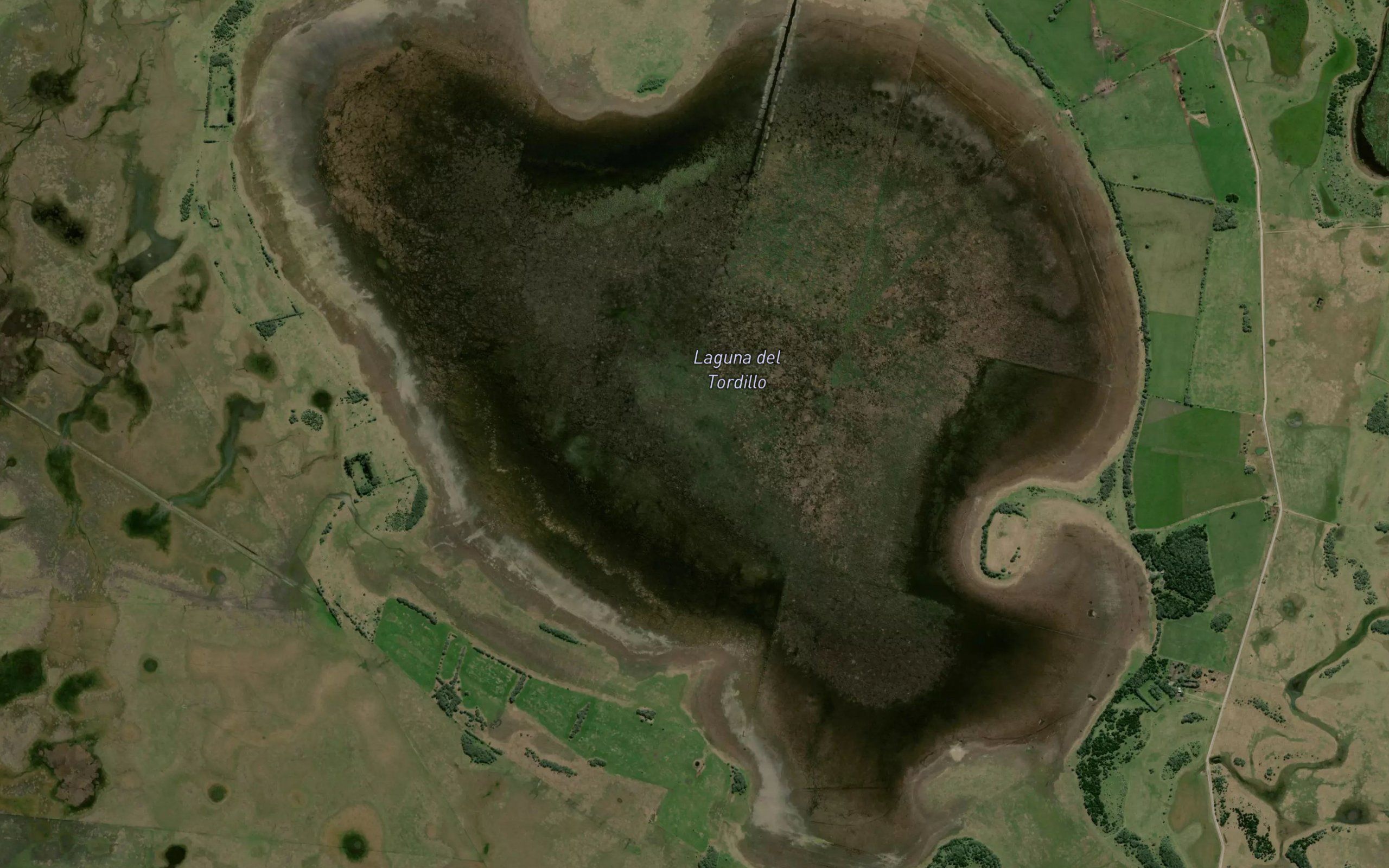 Laguna del Tordillo