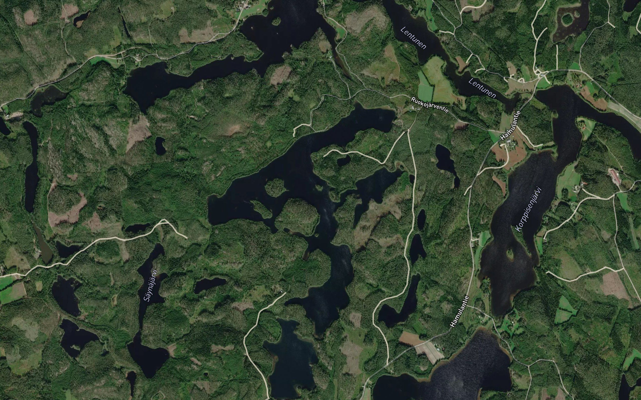 Ruokojarvi