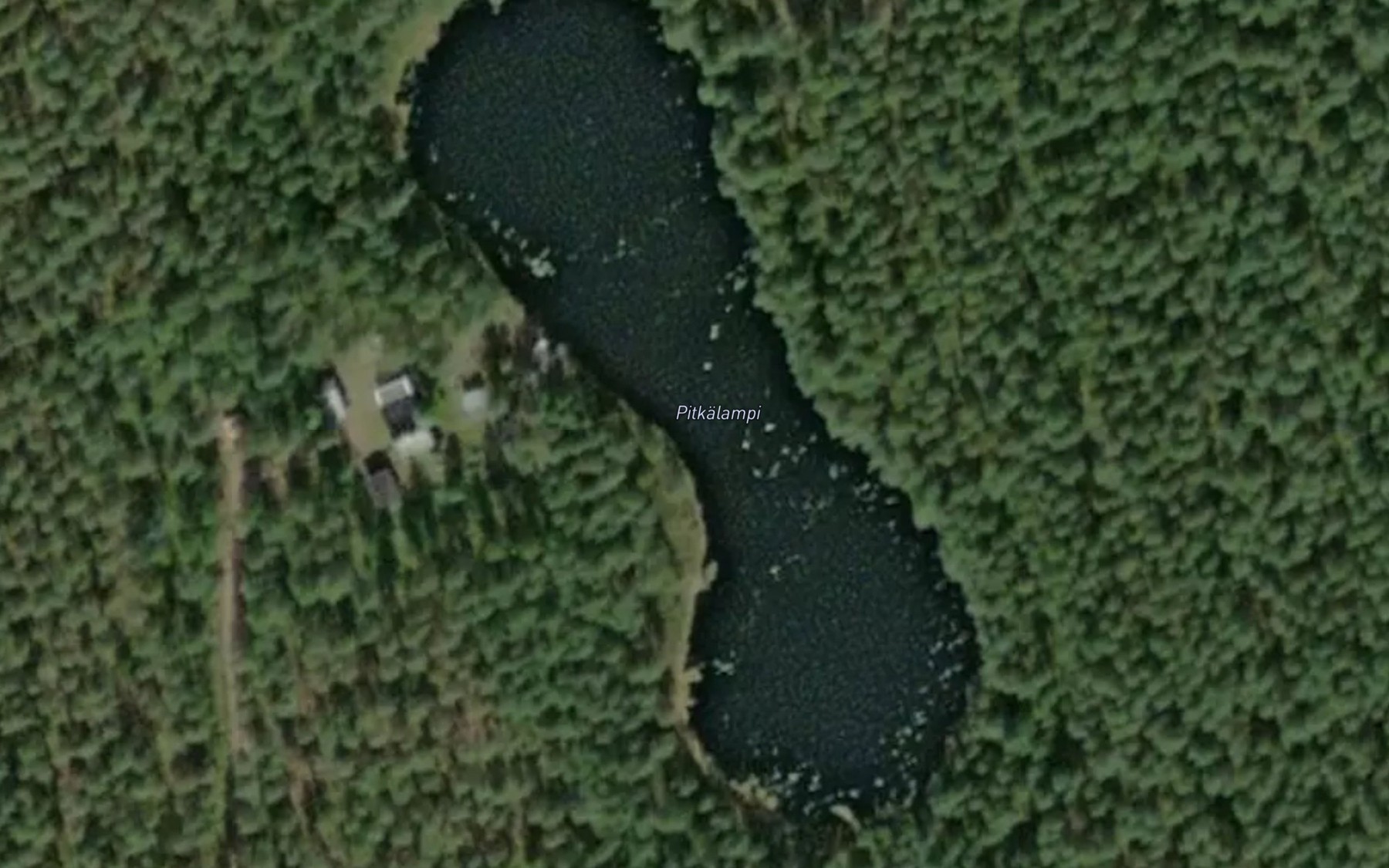 Satellite map of the Pitkalampi