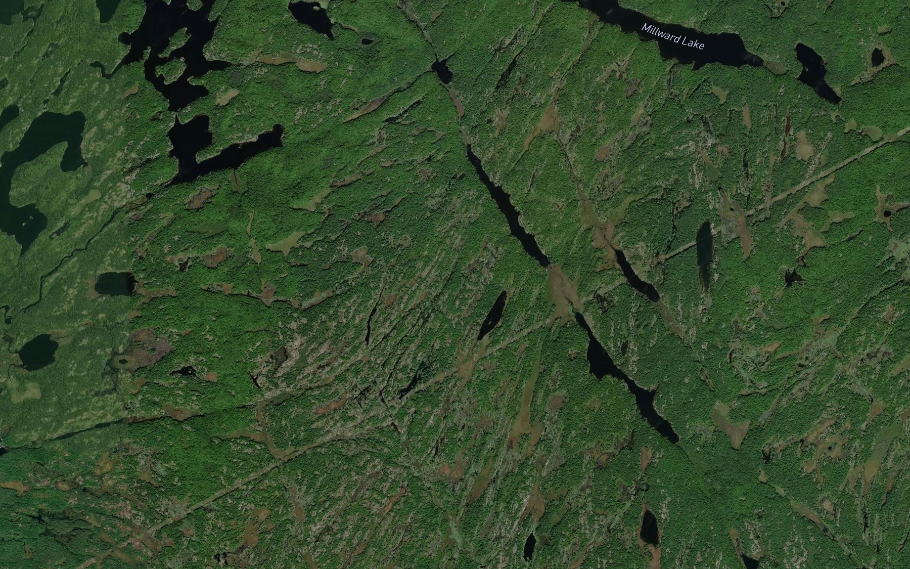 Satellite map of the Snake Lakes