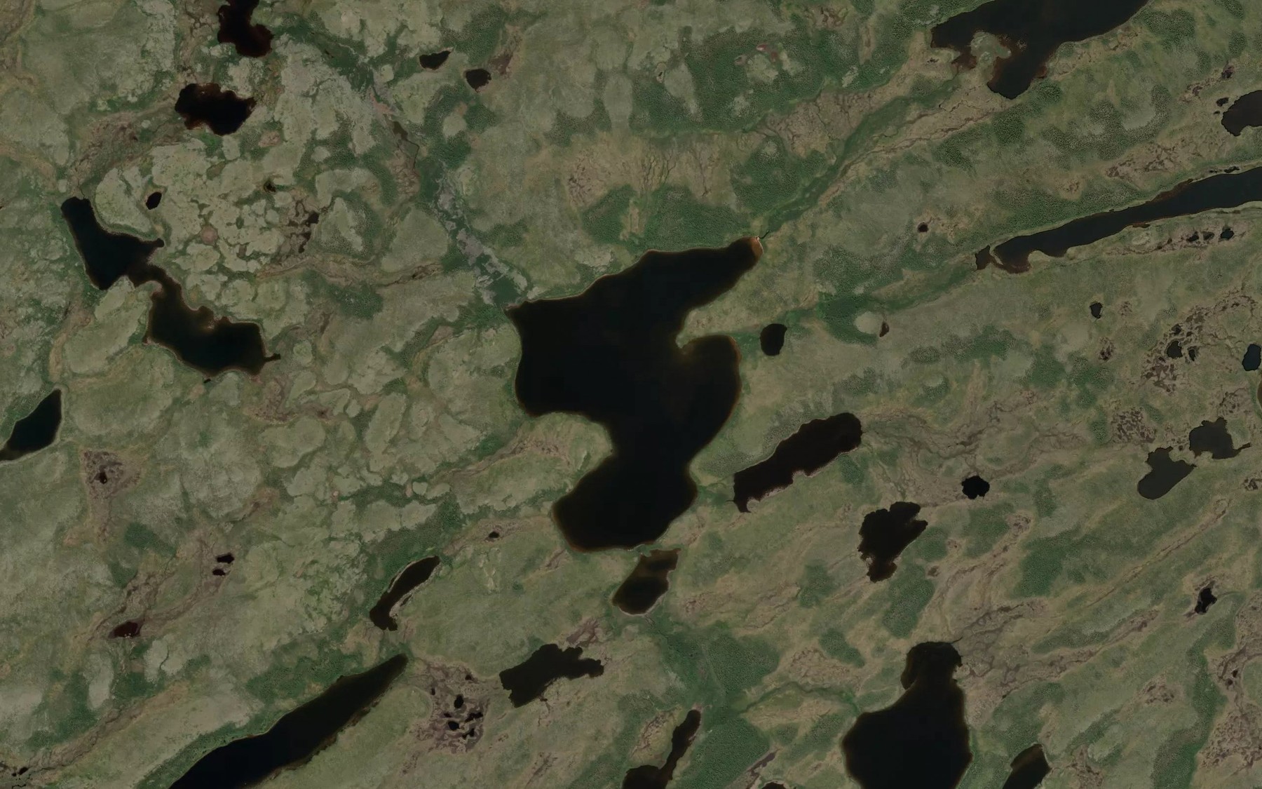 Satellite map of the Wardrope Lake