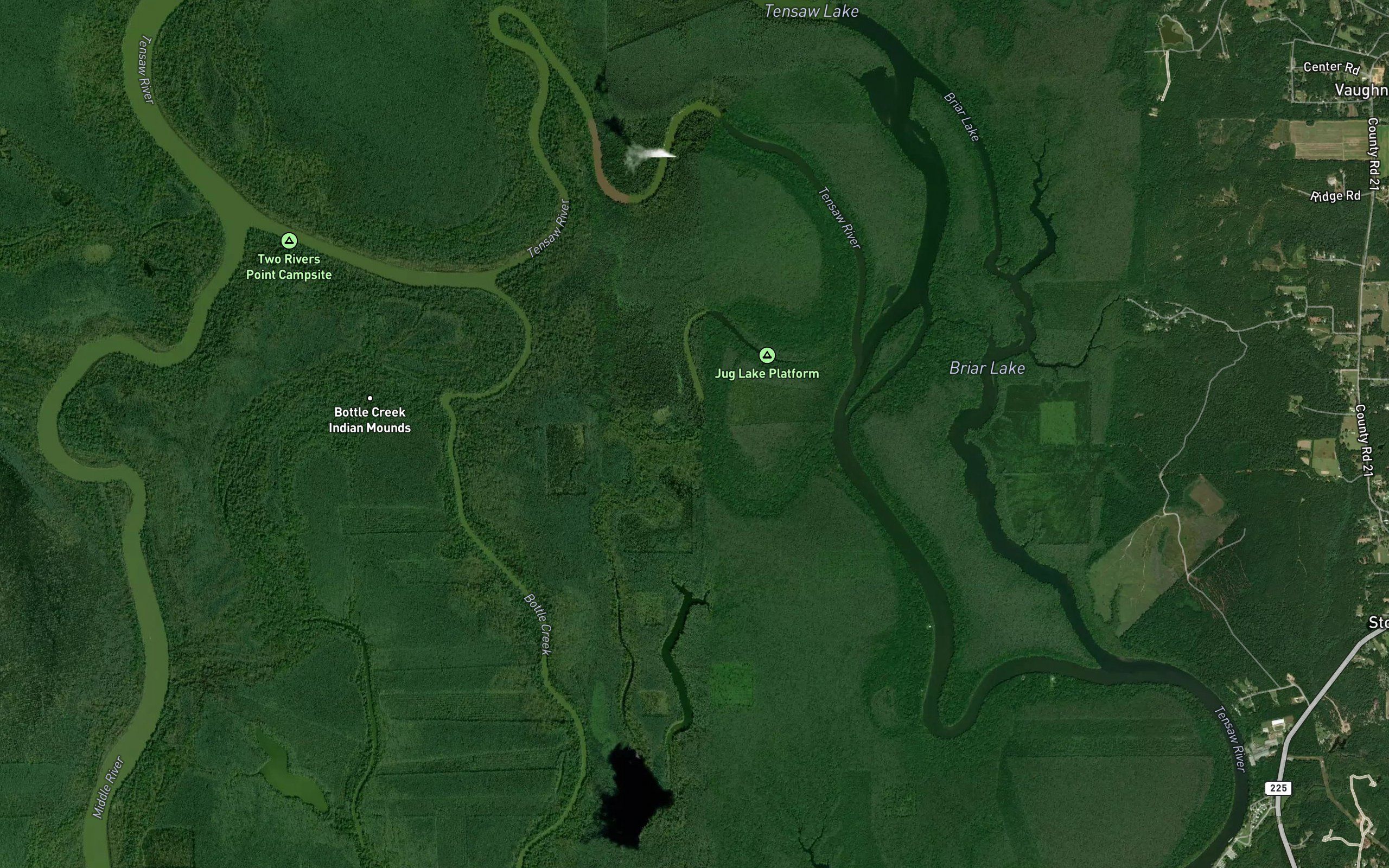 Bayou Jessamine