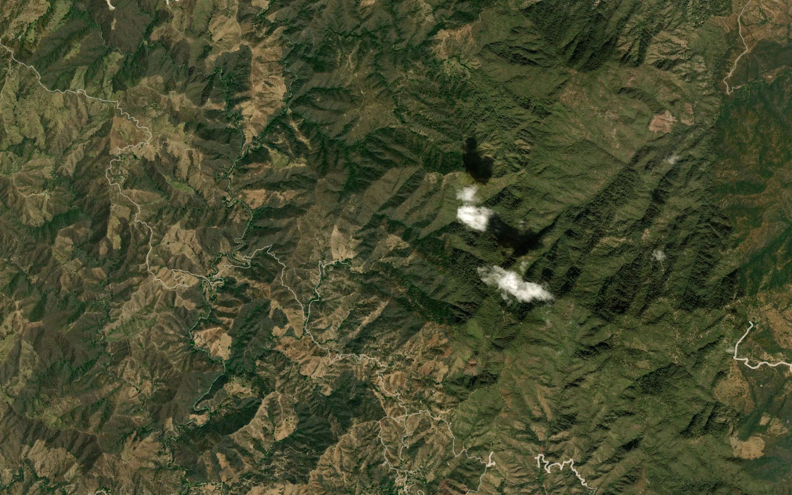 Barranca El Saucito
