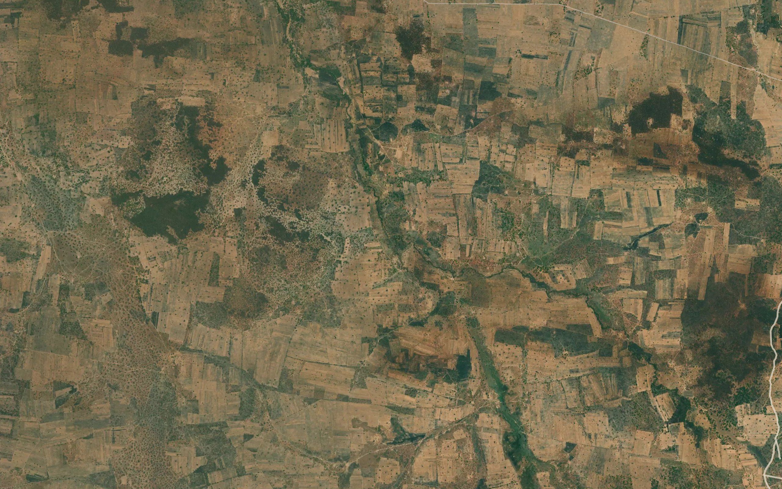 Mbila